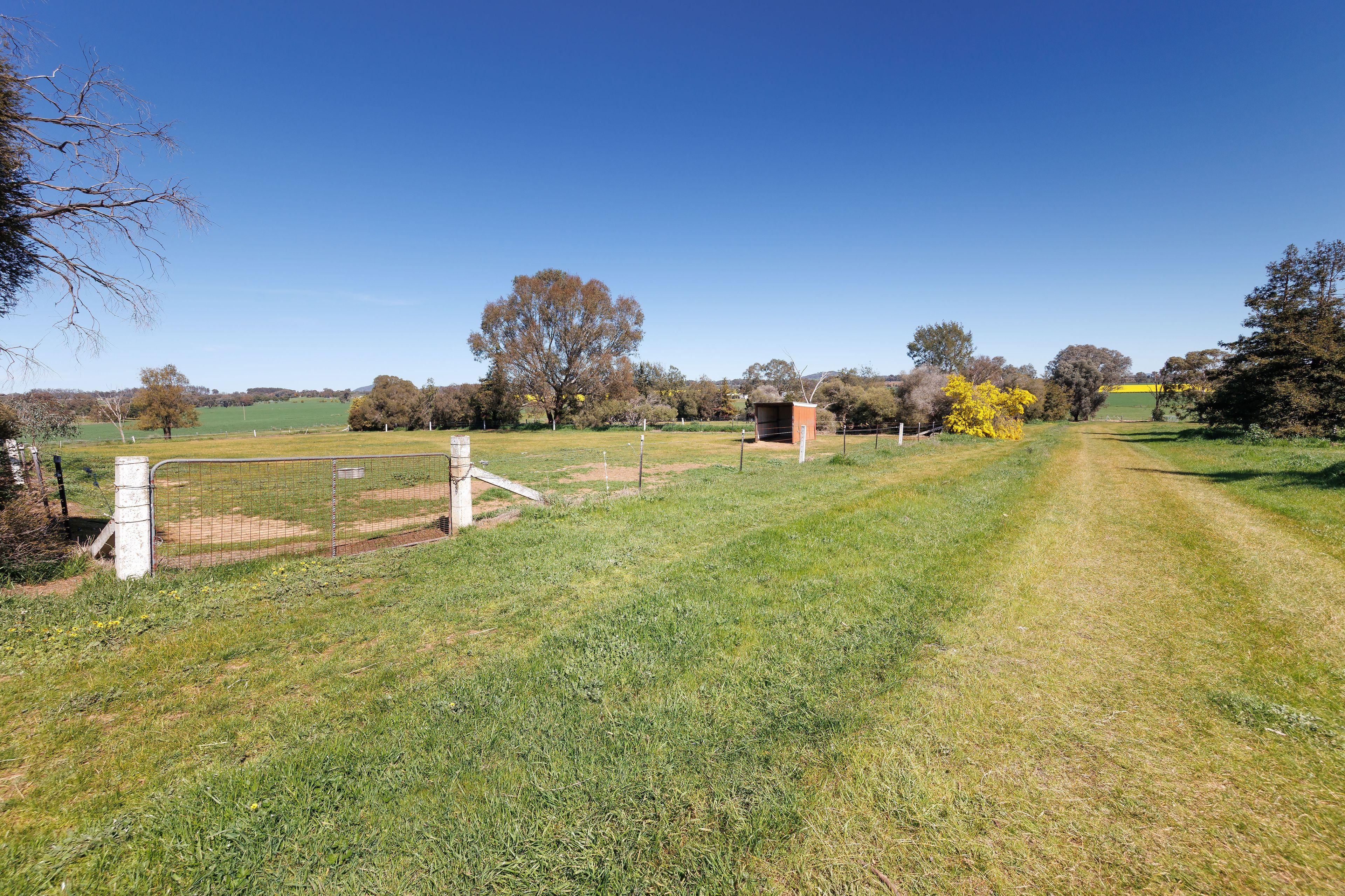 Unique Table Top property with endless potential