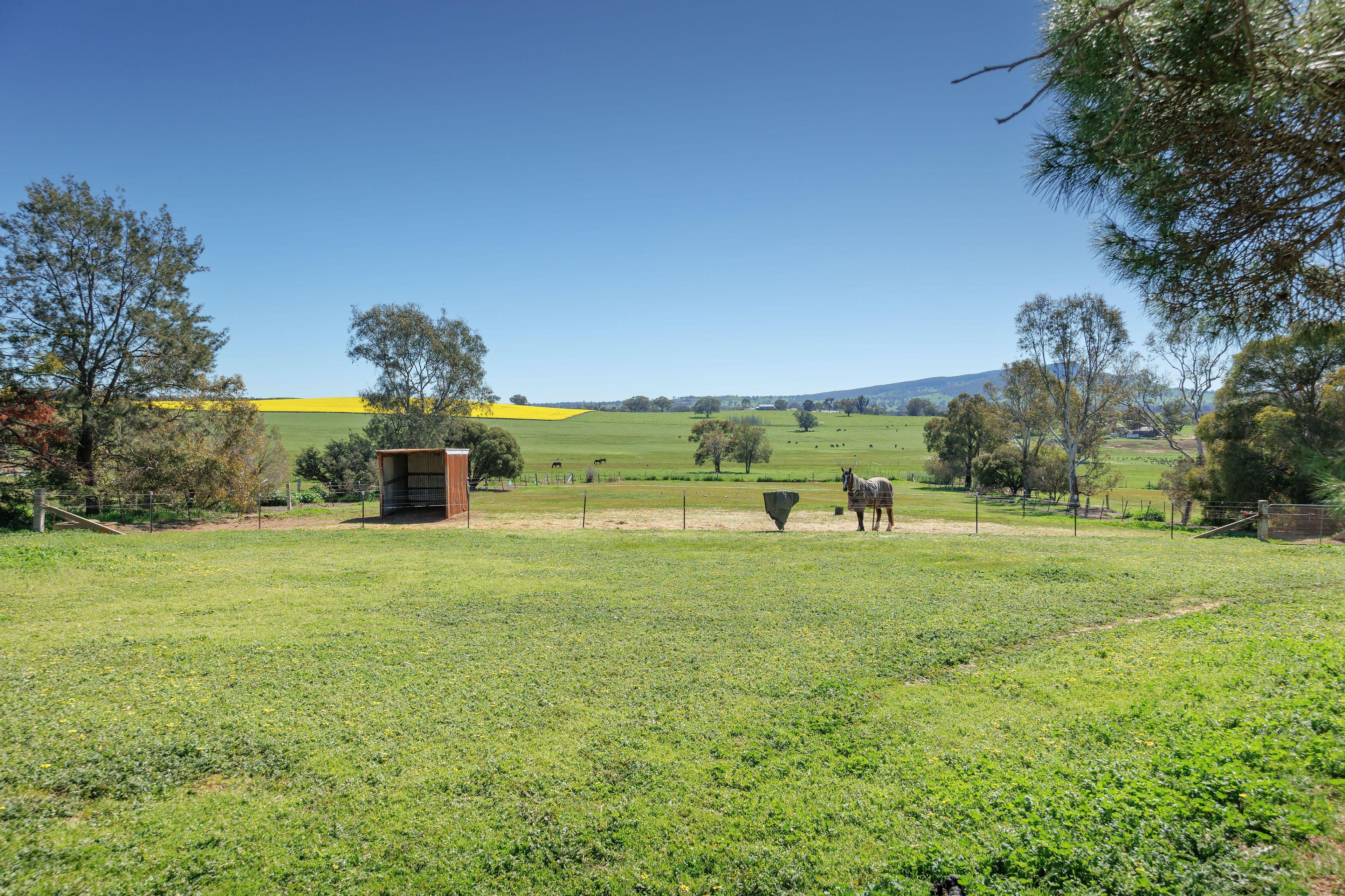 Unique Table Top property with endless potential