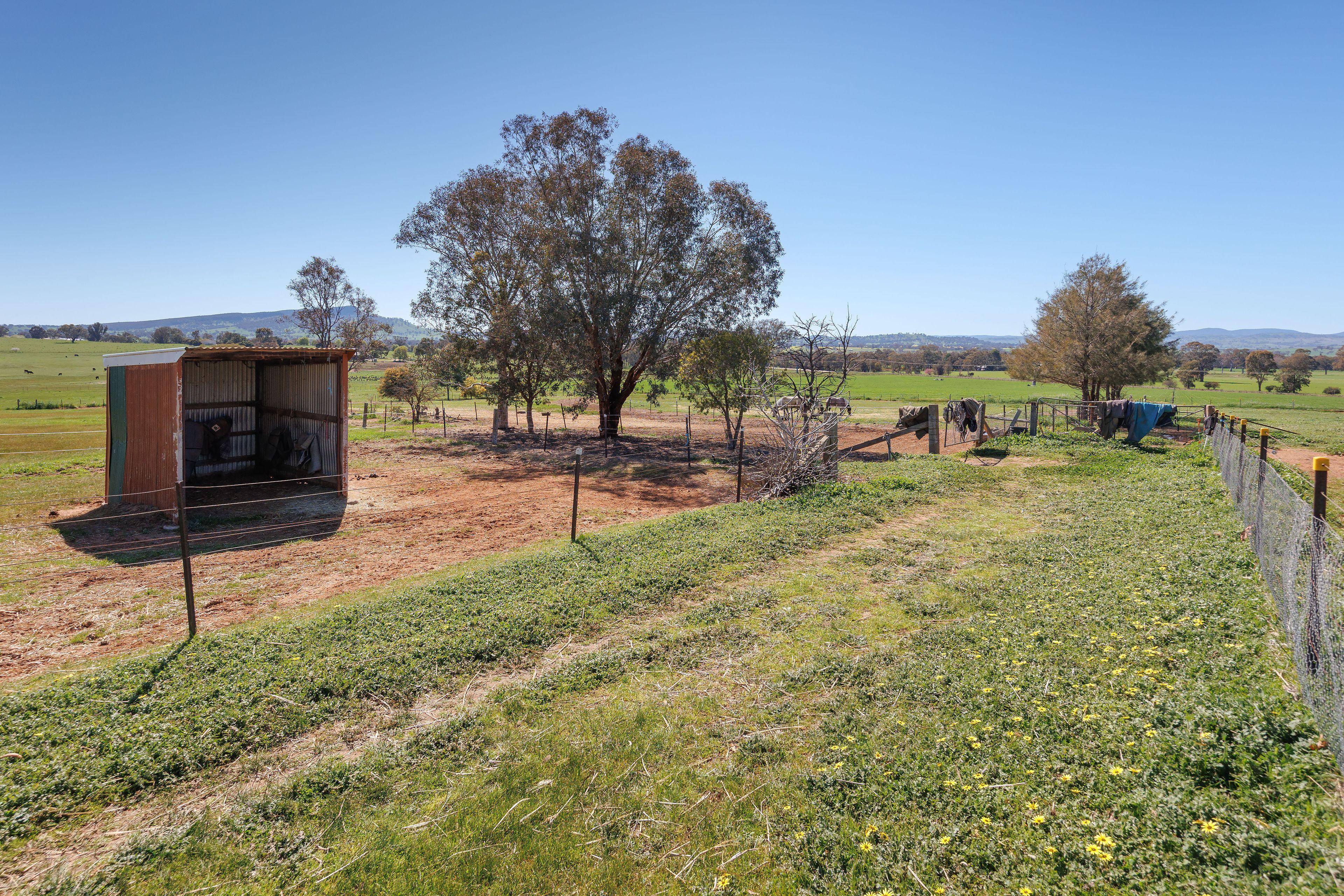 Unique Table Top property with endless potential