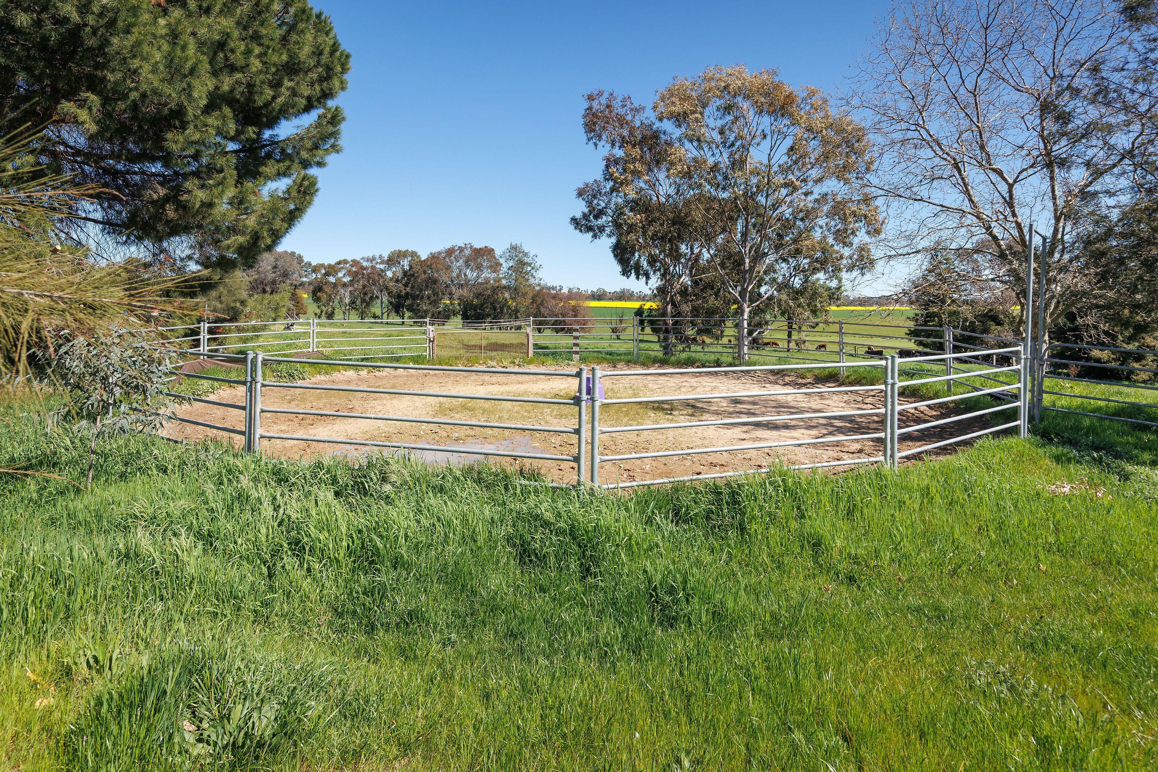 Unique Table Top property with endless potential