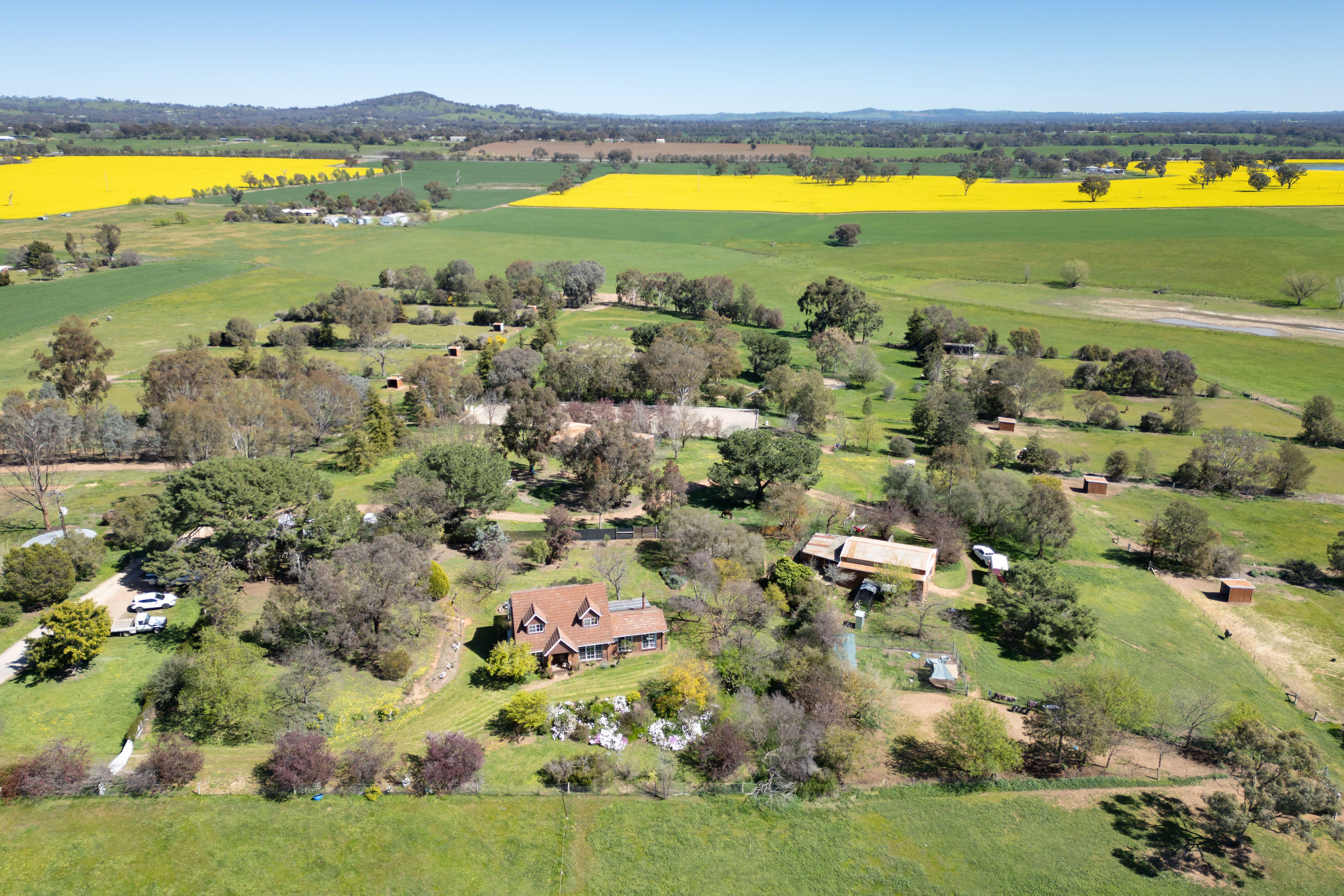 Unique Table Top property with endless potential