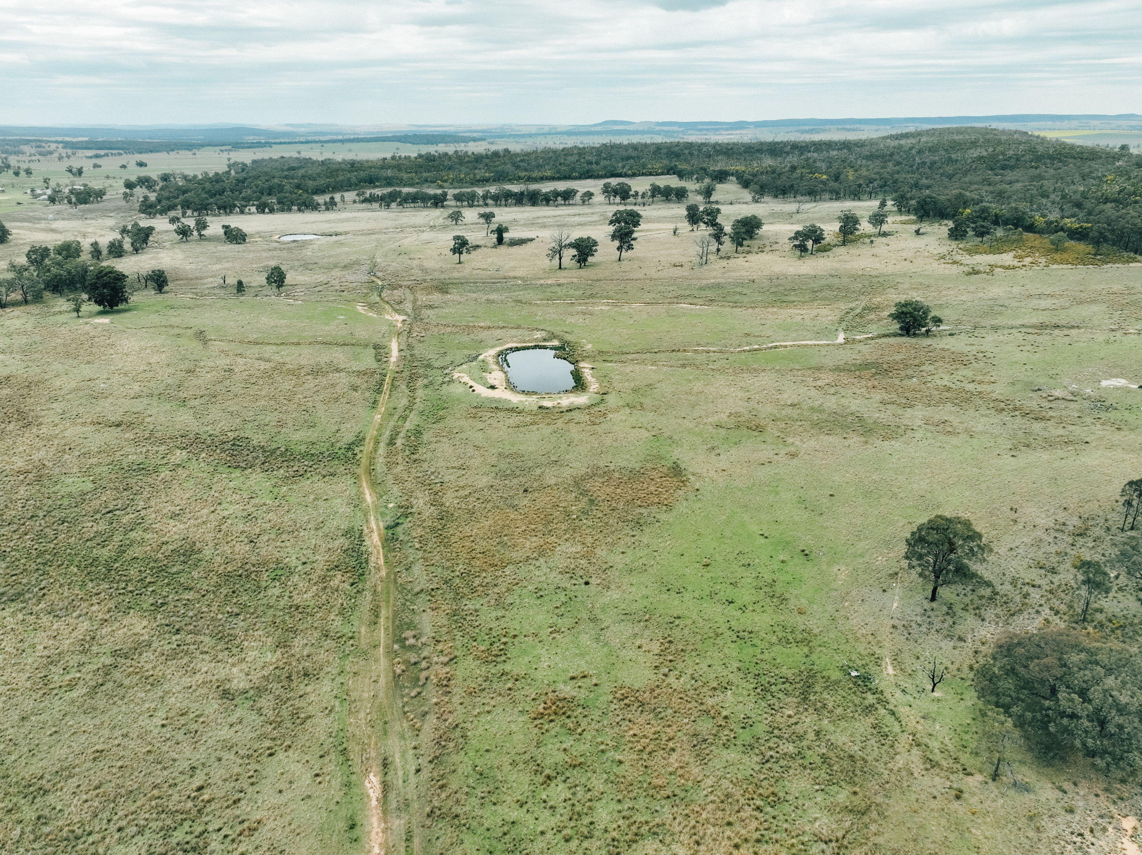 Prop-GPT: Mixed Farming: NSW Dunedoo, NSW 2844 Rural
