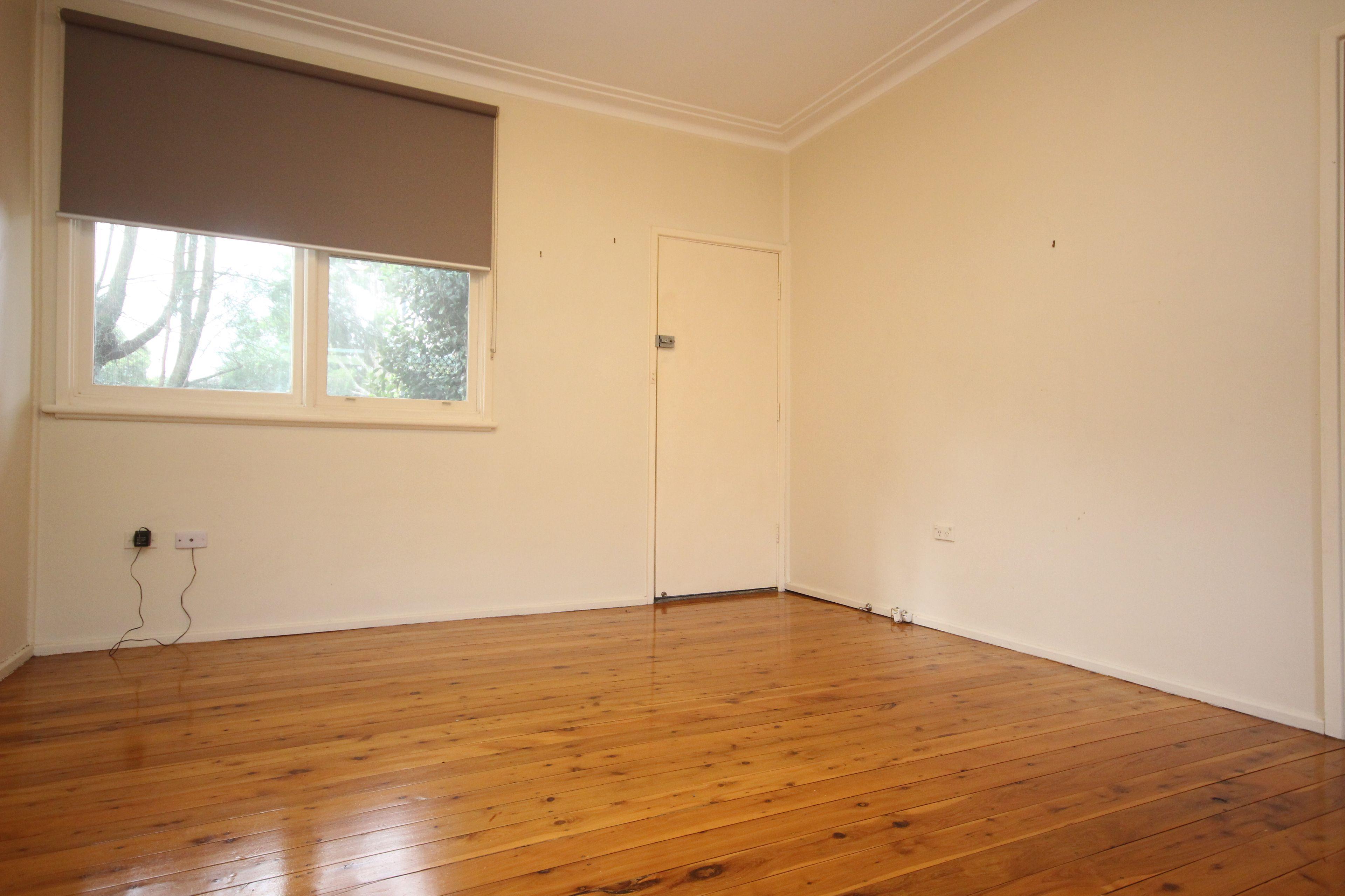 Excellent for a Professional