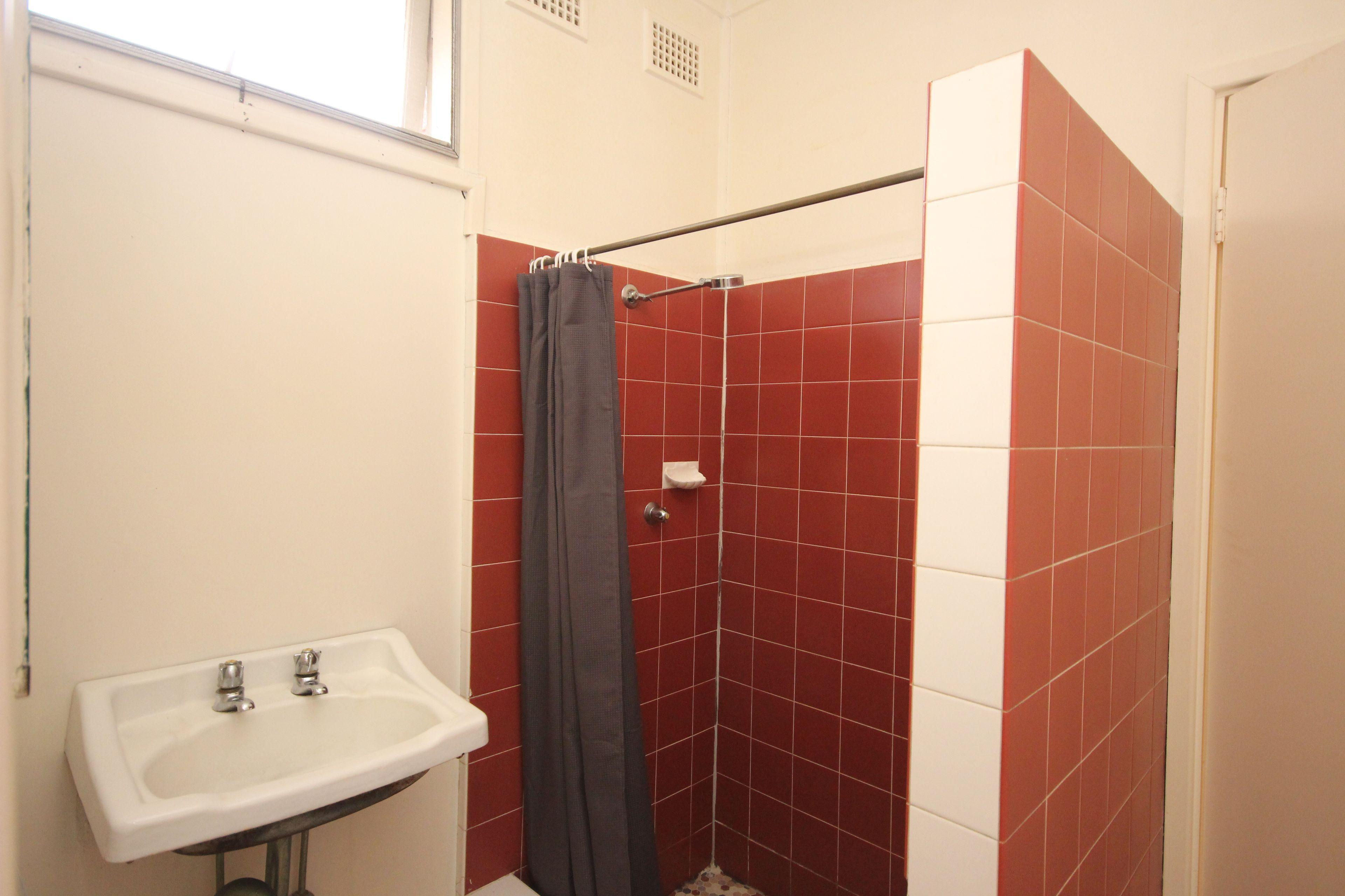 Excellent for a Professional