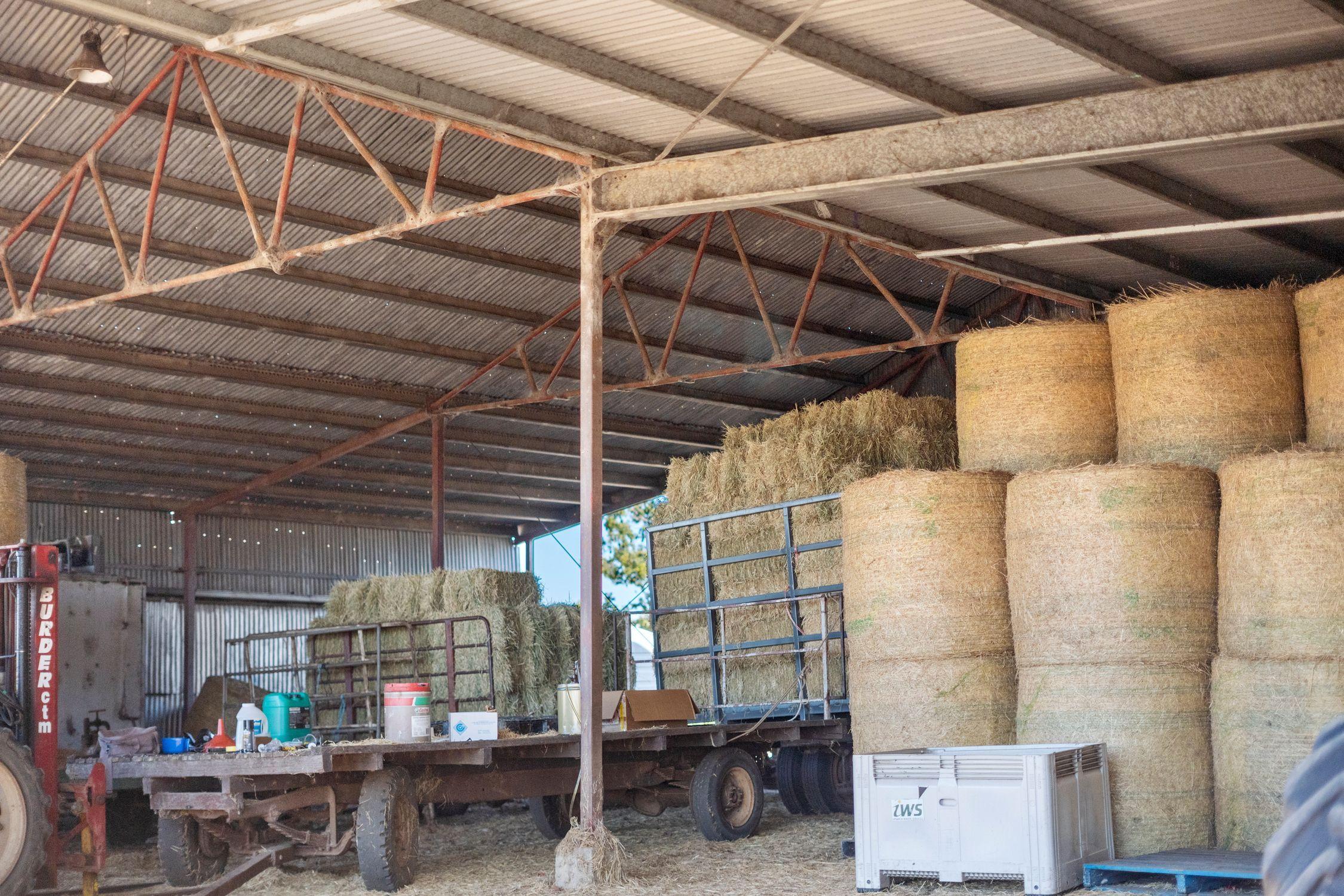 Irrigation and Lifestyle Property