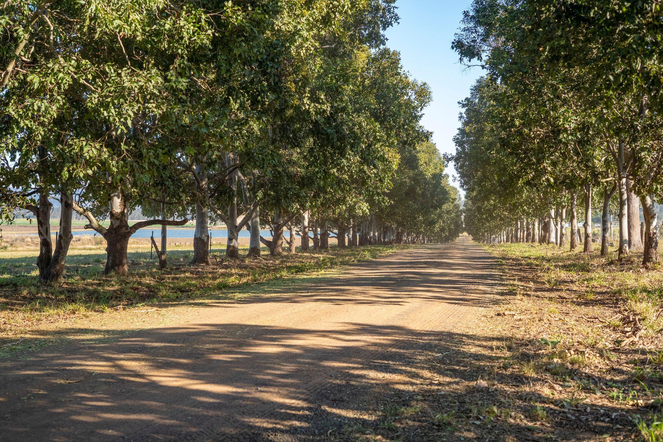 Irrigation and Lifestyle Property