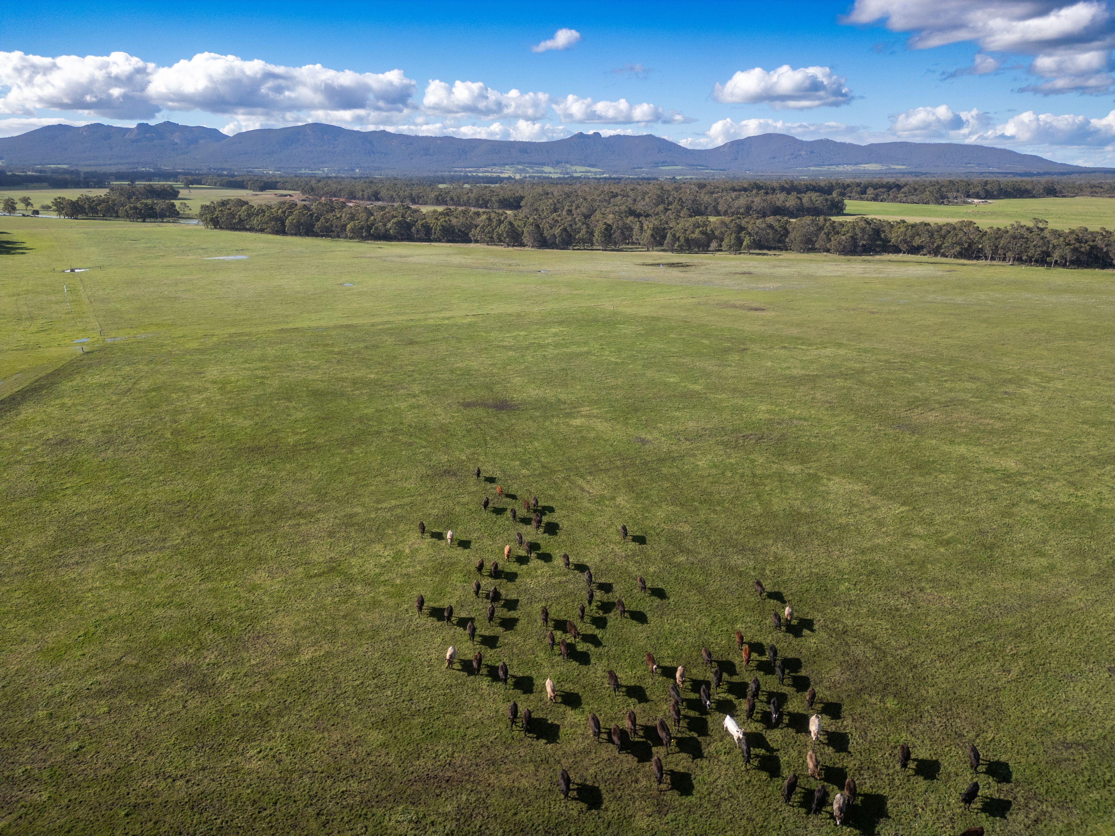 Rare Opportunity - Spacious Modern Home and Farm with Beautiful Porongurup Views