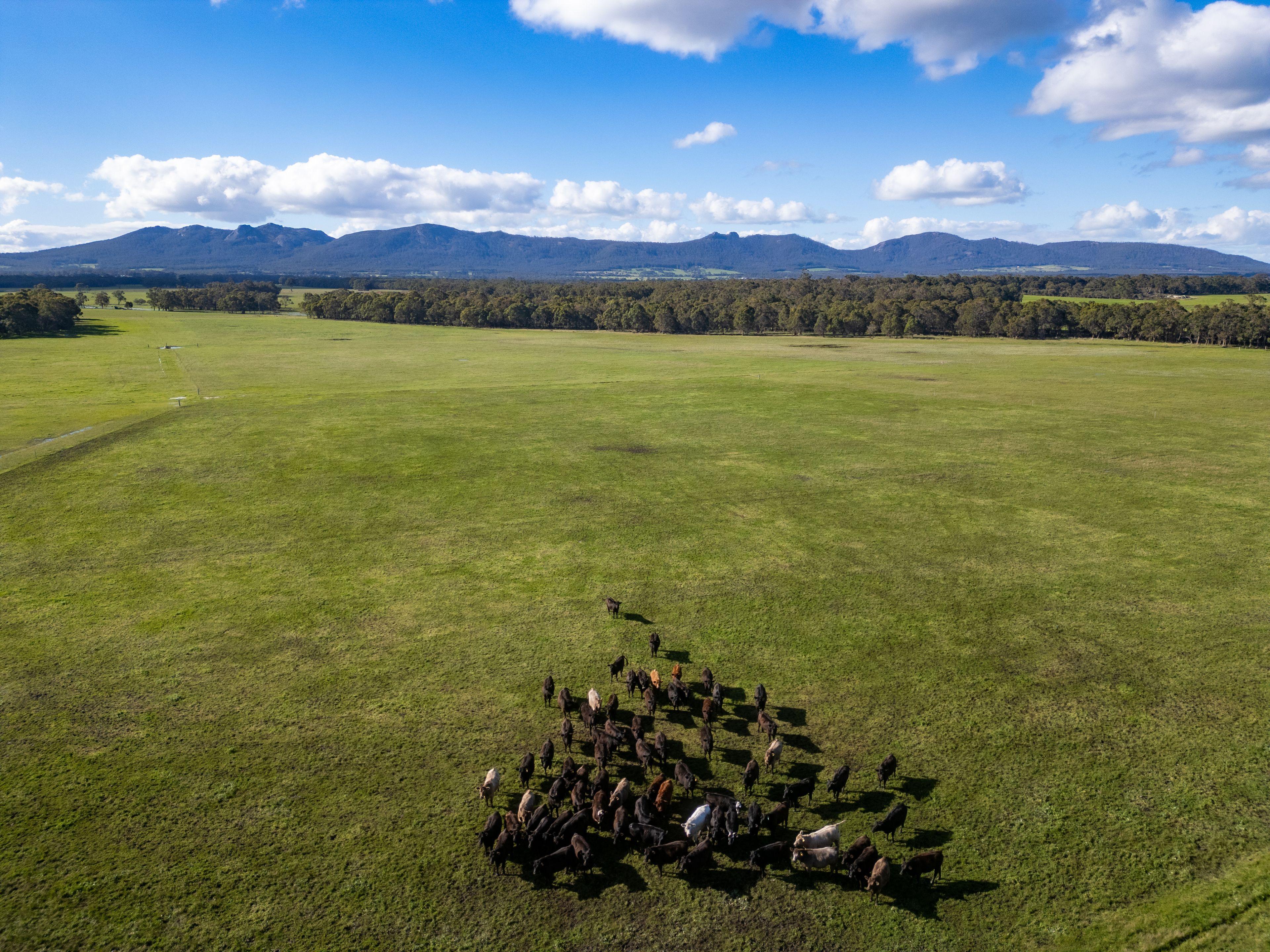 Rare Opportunity - Spacious Modern Home and Farm with Beautiful Porongurup Views