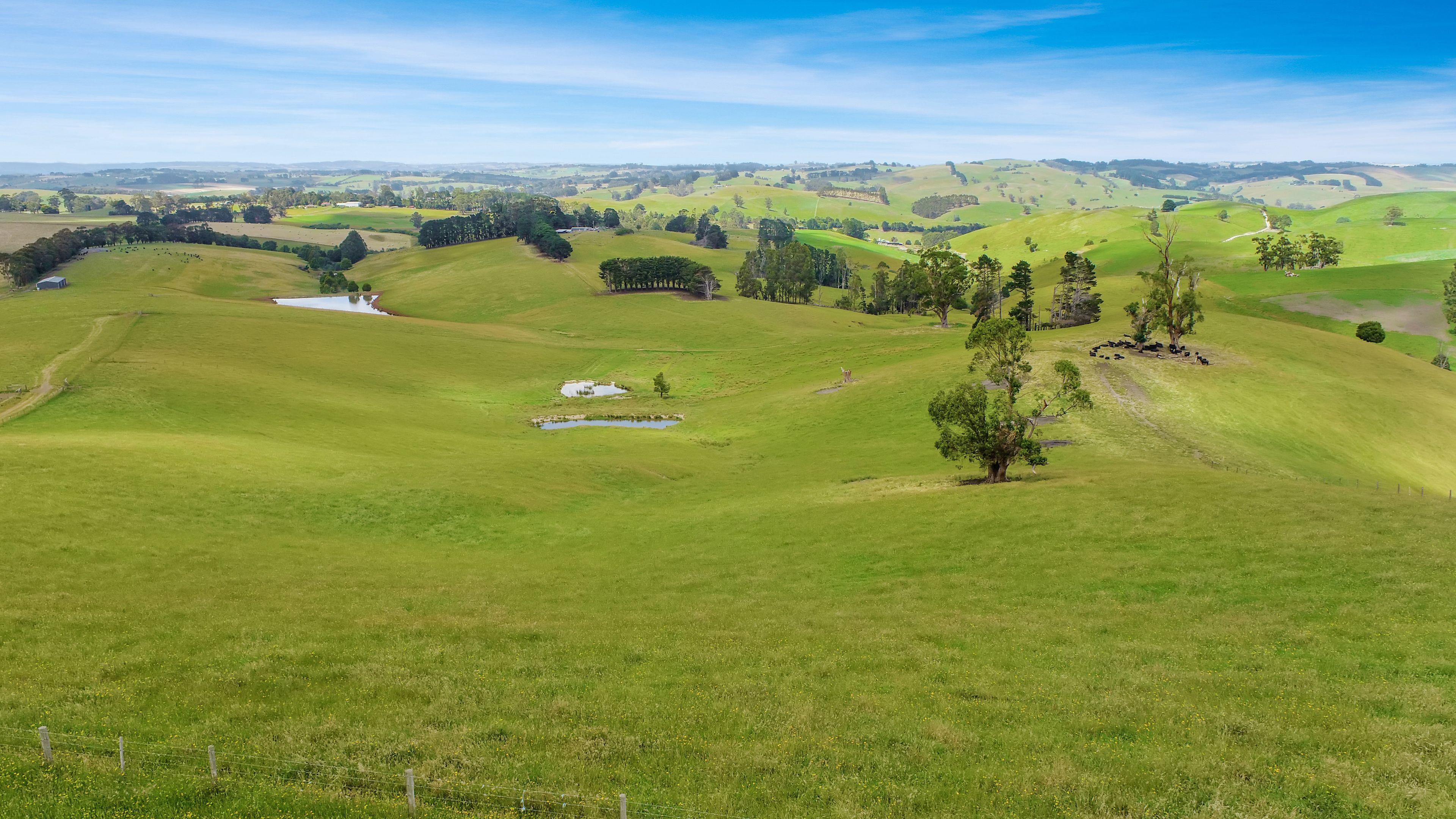 EXCEPTIONAL 108.2 ACRES ON THE EDGE OF TOWN!