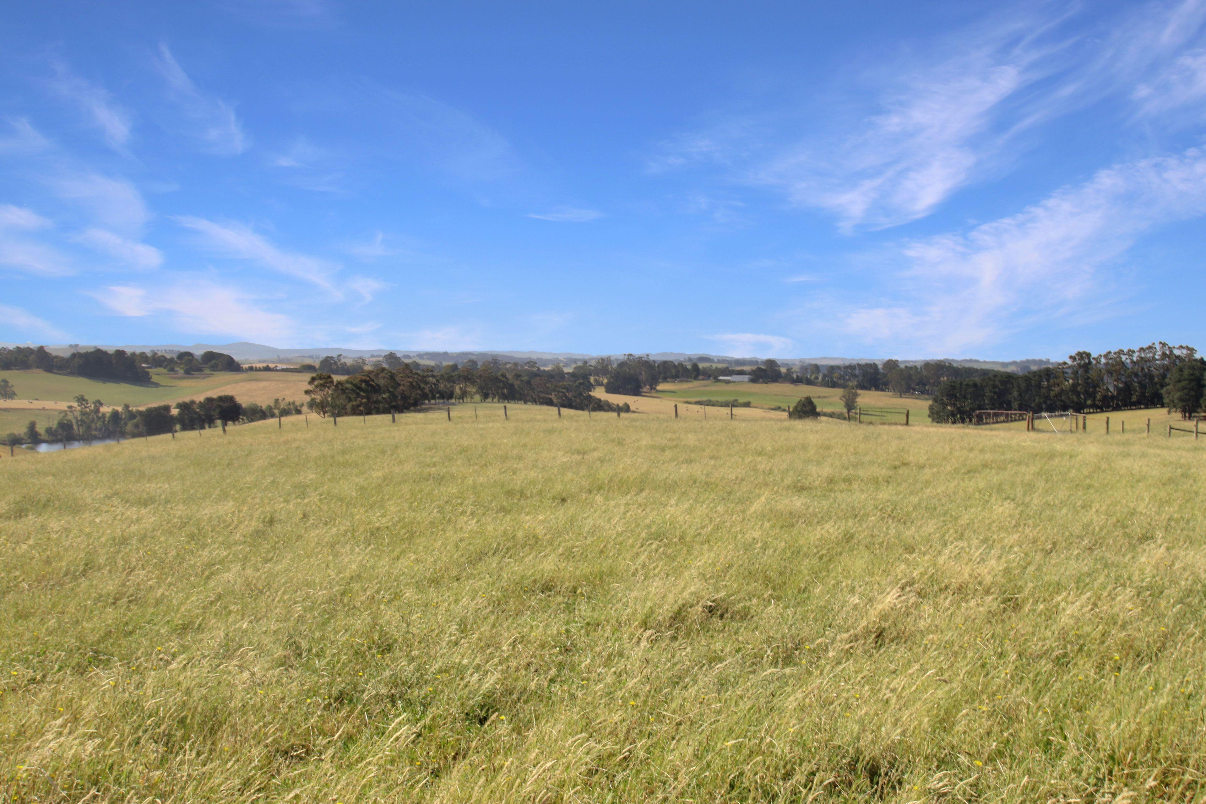 EXCEPTIONAL 108.2 ACRES ON THE EDGE OF TOWN!