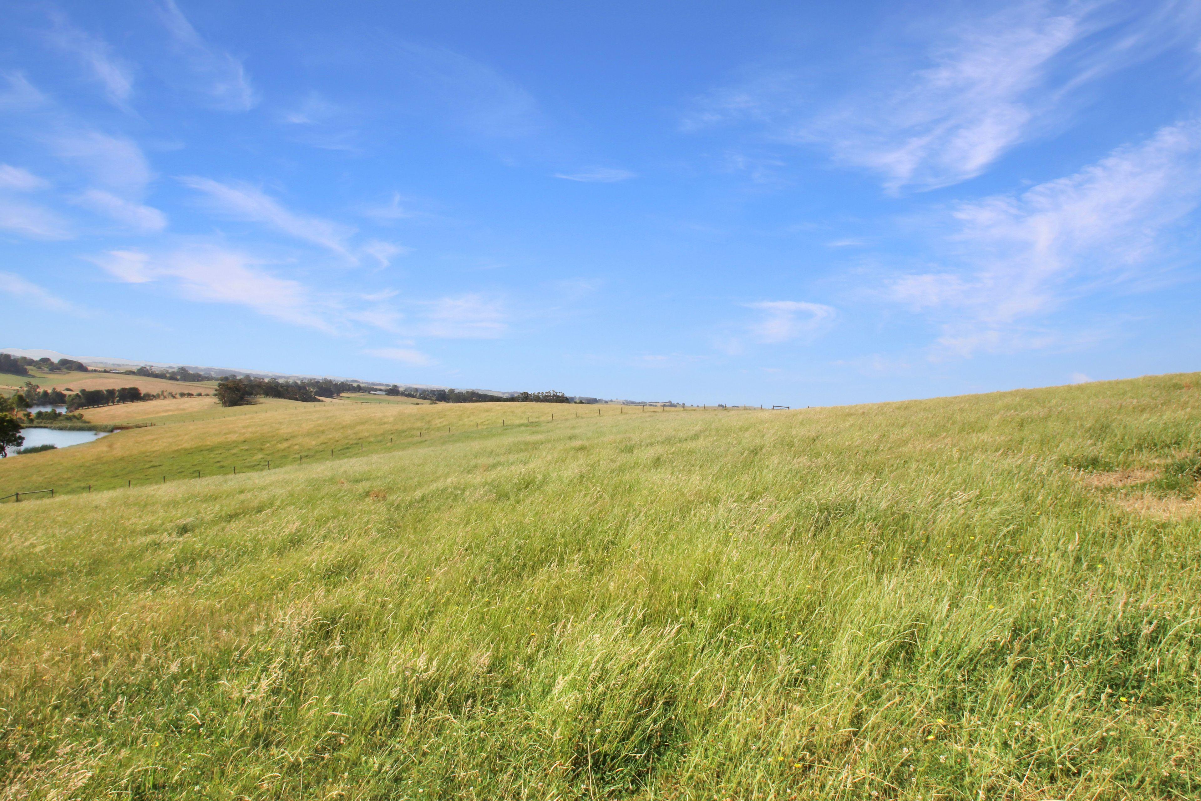 EXCEPTIONAL 108.2 ACRES ON THE EDGE OF TOWN!