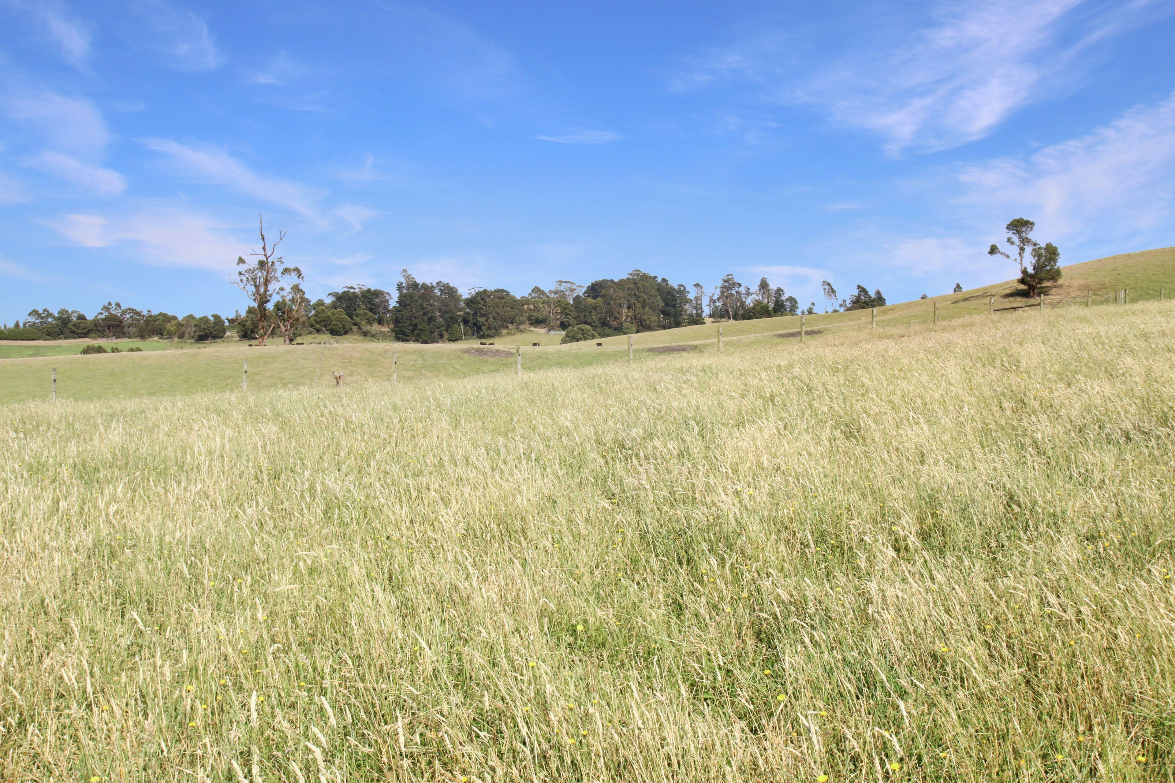 EXCEPTIONAL 108.2 ACRES ON THE EDGE OF TOWN!