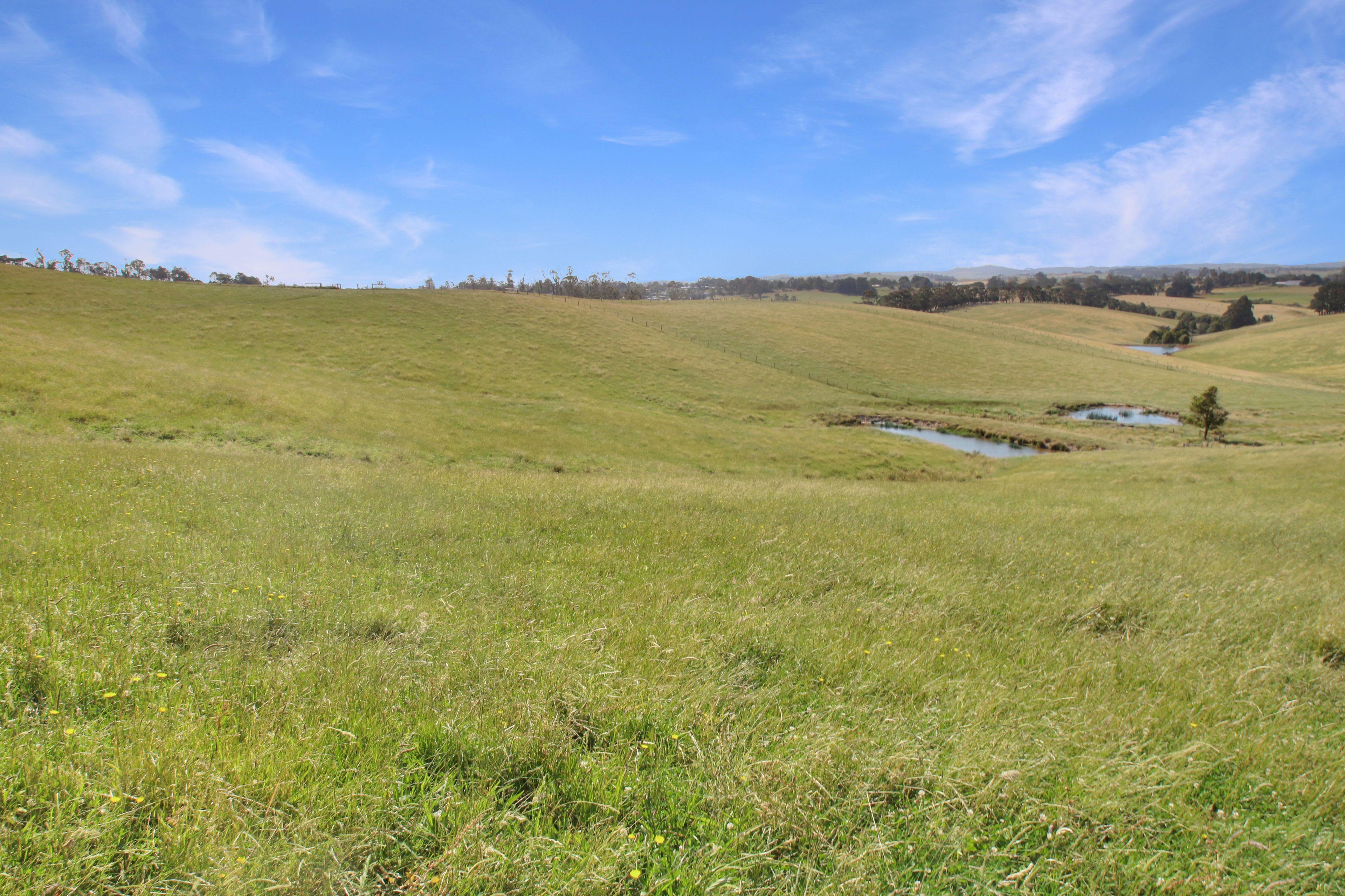 EXCEPTIONAL 108.2 ACRES ON THE EDGE OF TOWN!