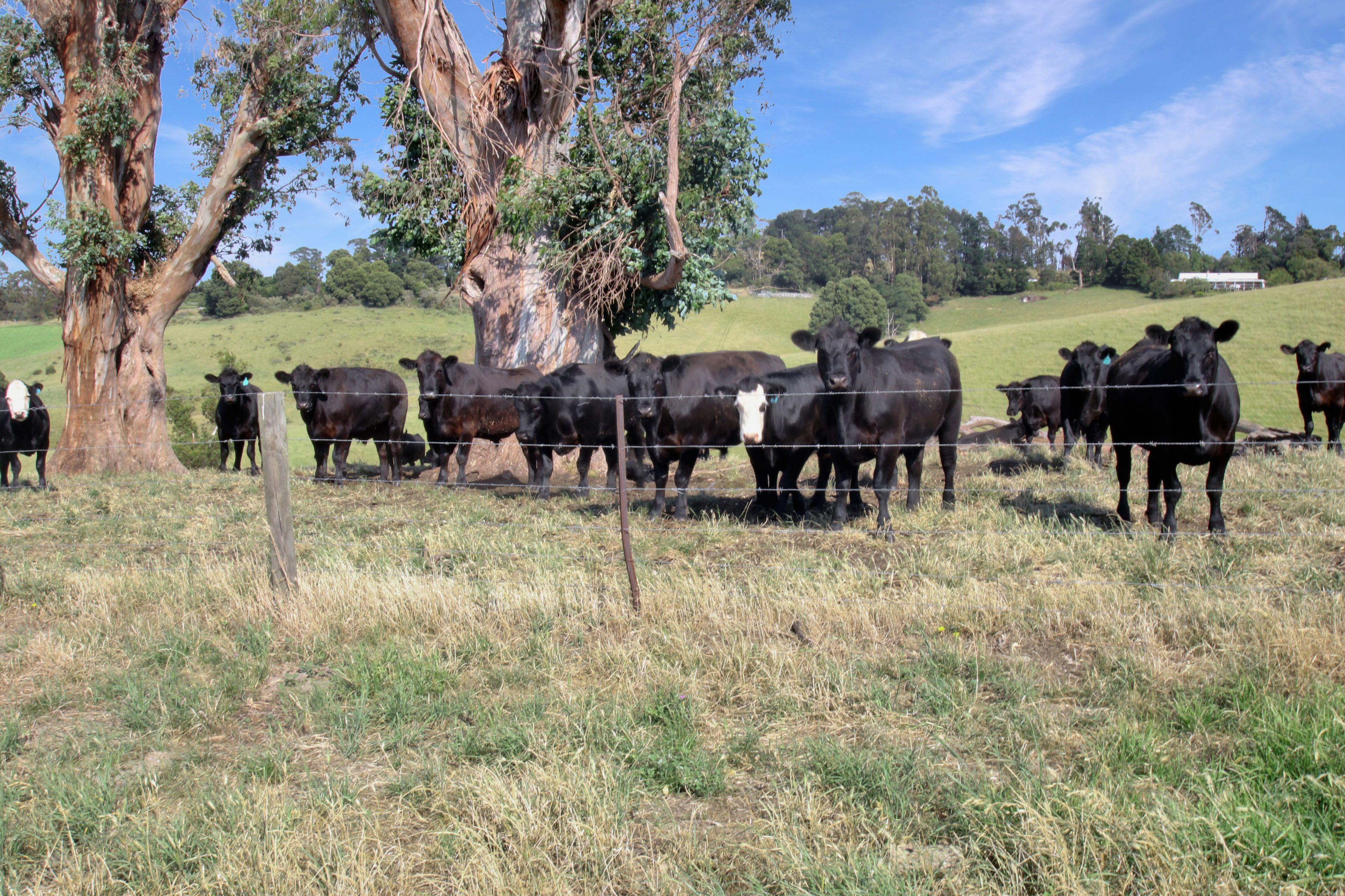 EXCEPTIONAL 108.2 ACRES ON THE EDGE OF TOWN!