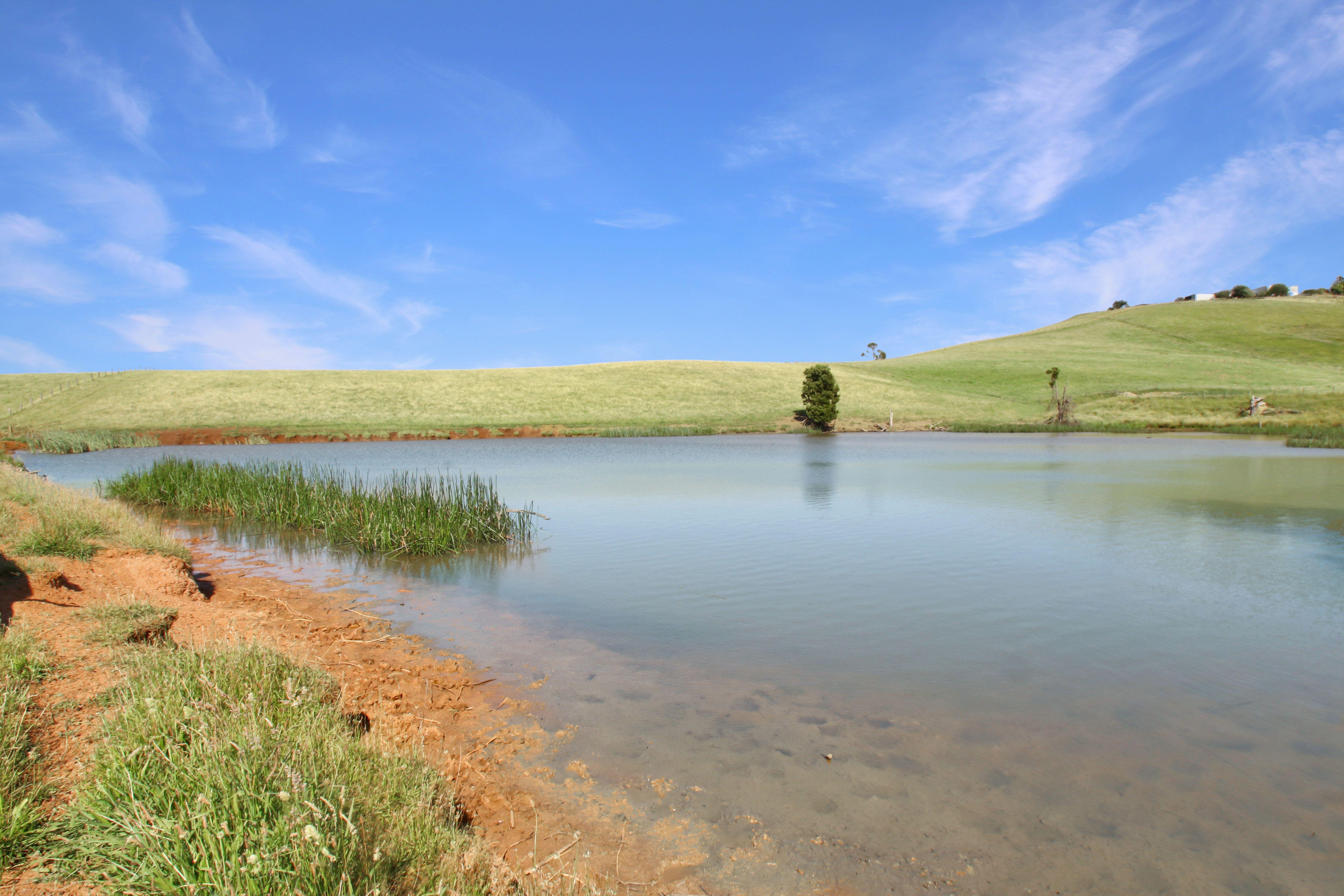 EXCEPTIONAL 108.2 ACRES ON THE EDGE OF TOWN!