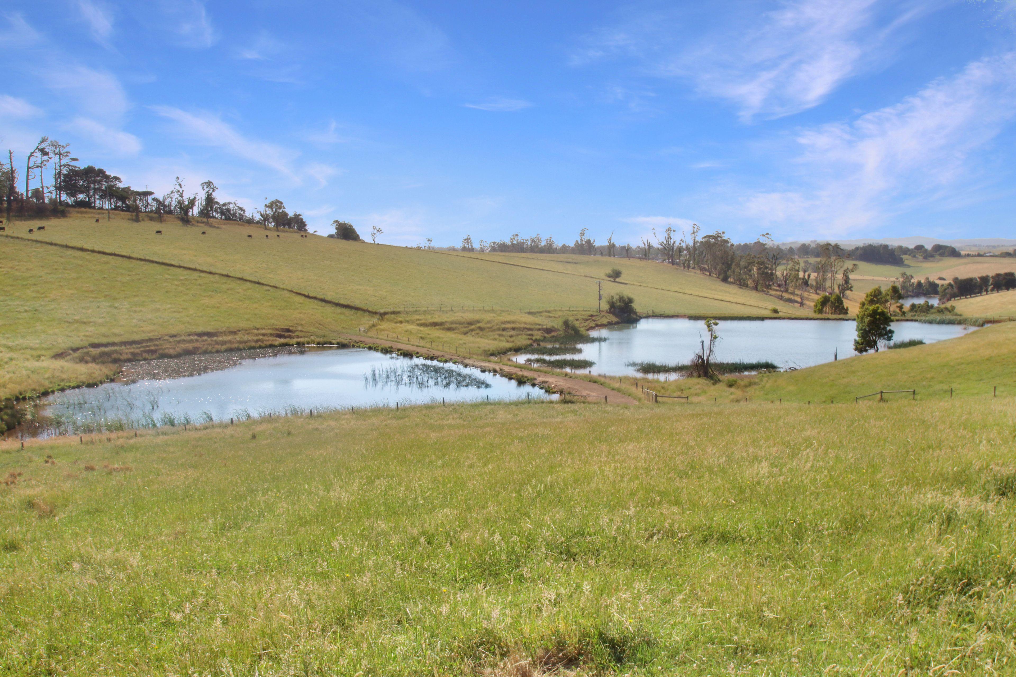 EXCEPTIONAL 108.2 ACRES ON THE EDGE OF TOWN!