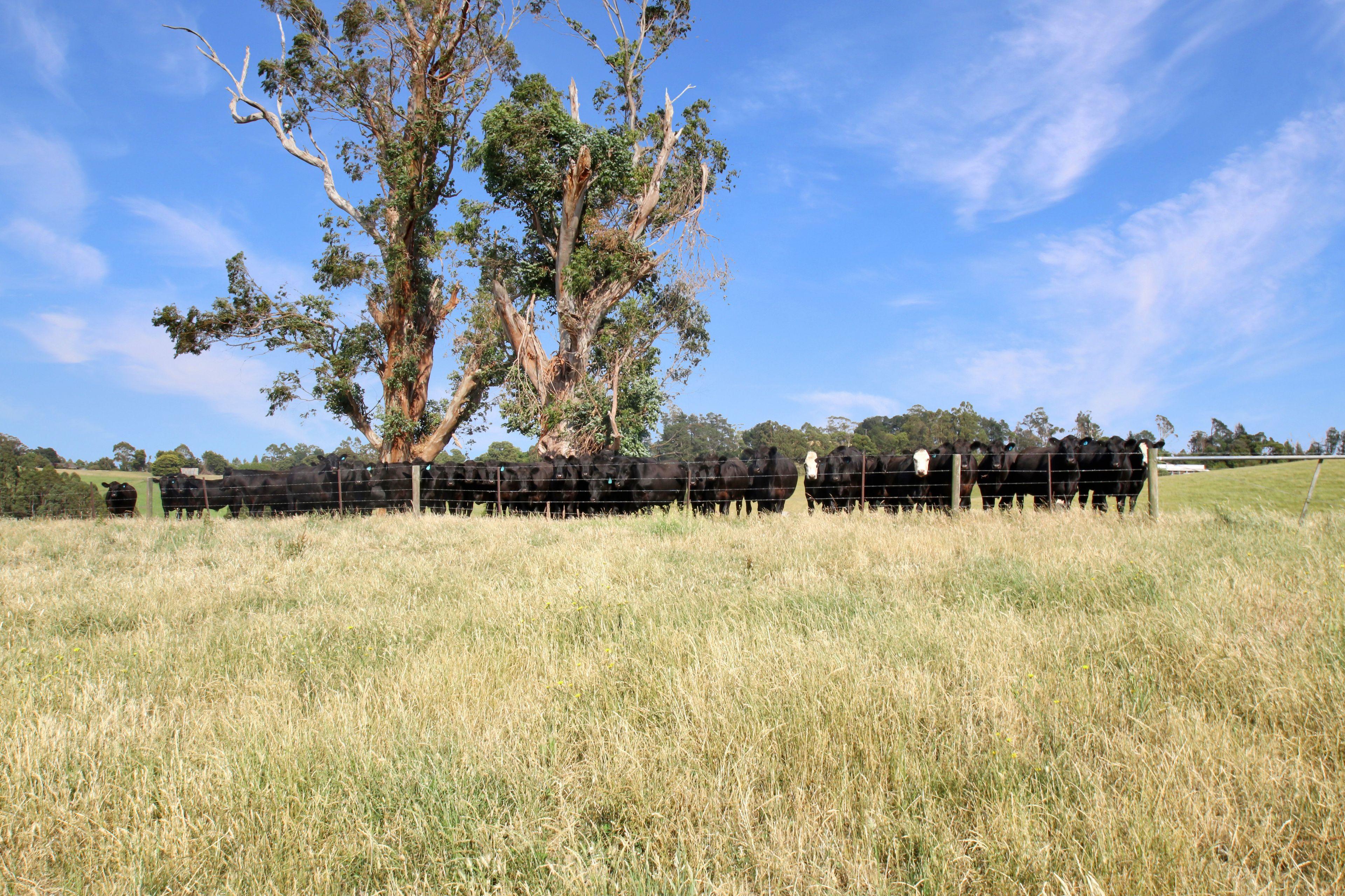 EXCEPTIONAL 108.2 ACRES ON THE EDGE OF TOWN!