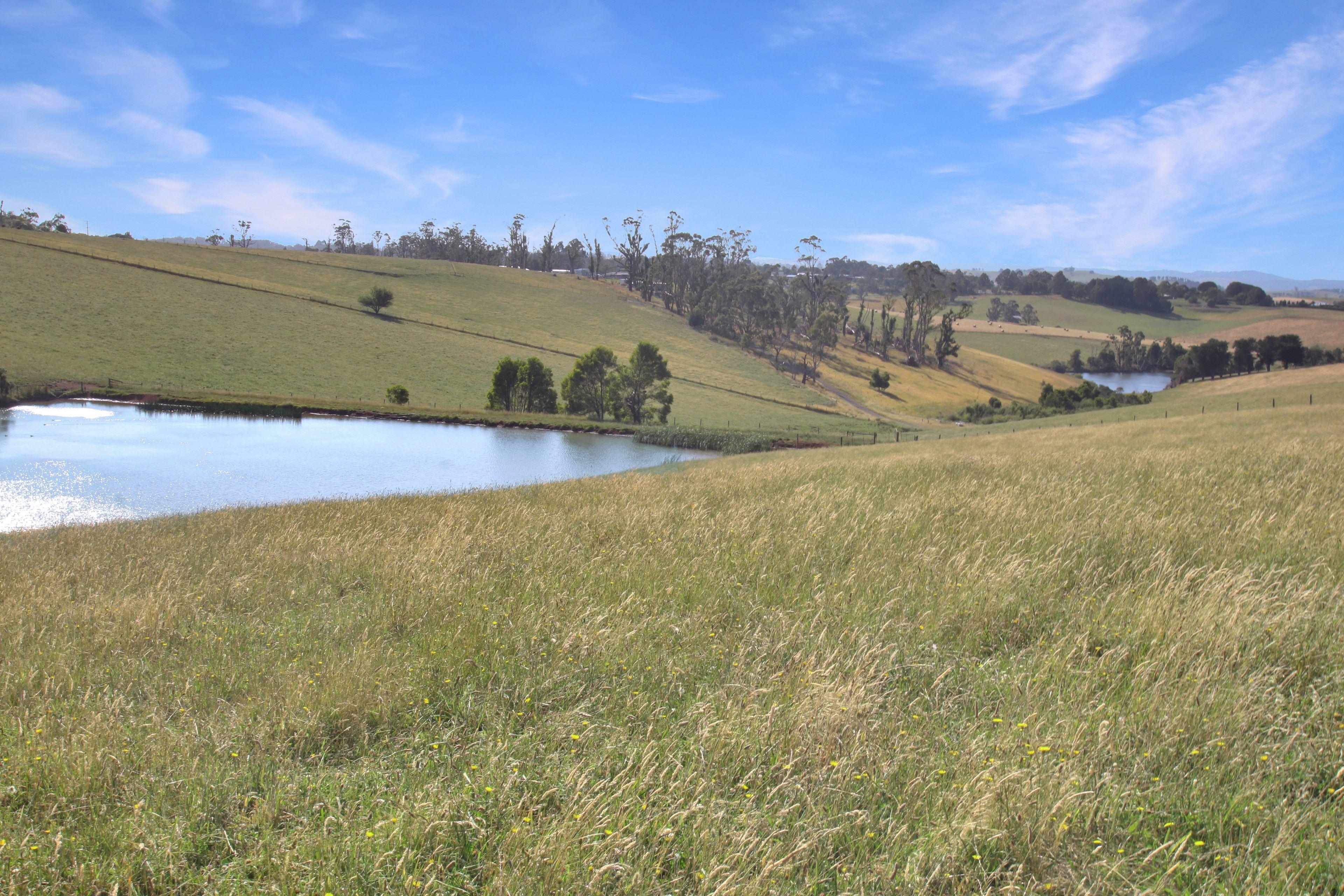 EXCEPTIONAL 108.2 ACRES ON THE EDGE OF TOWN!