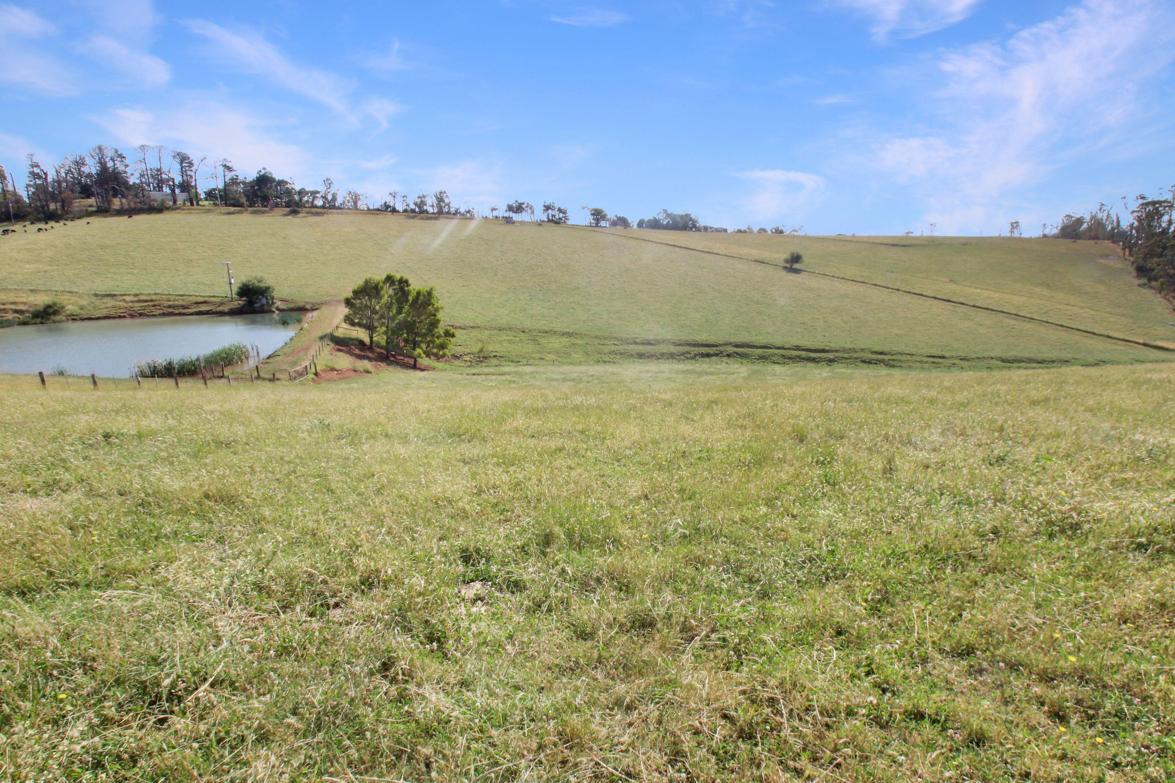EXCEPTIONAL 108.2 ACRES ON THE EDGE OF TOWN!