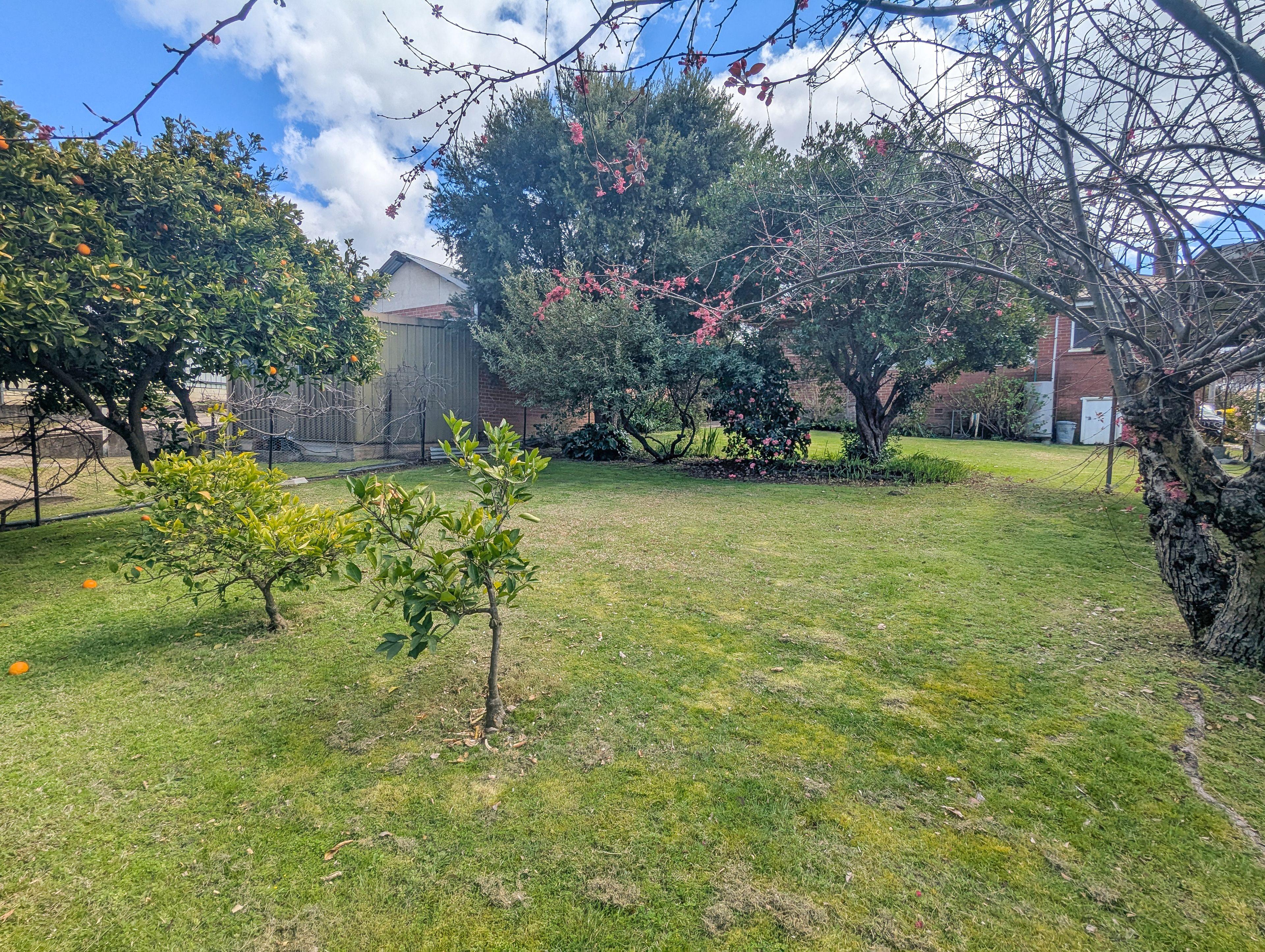 Solid two bedroom cottage, walking distance to main street