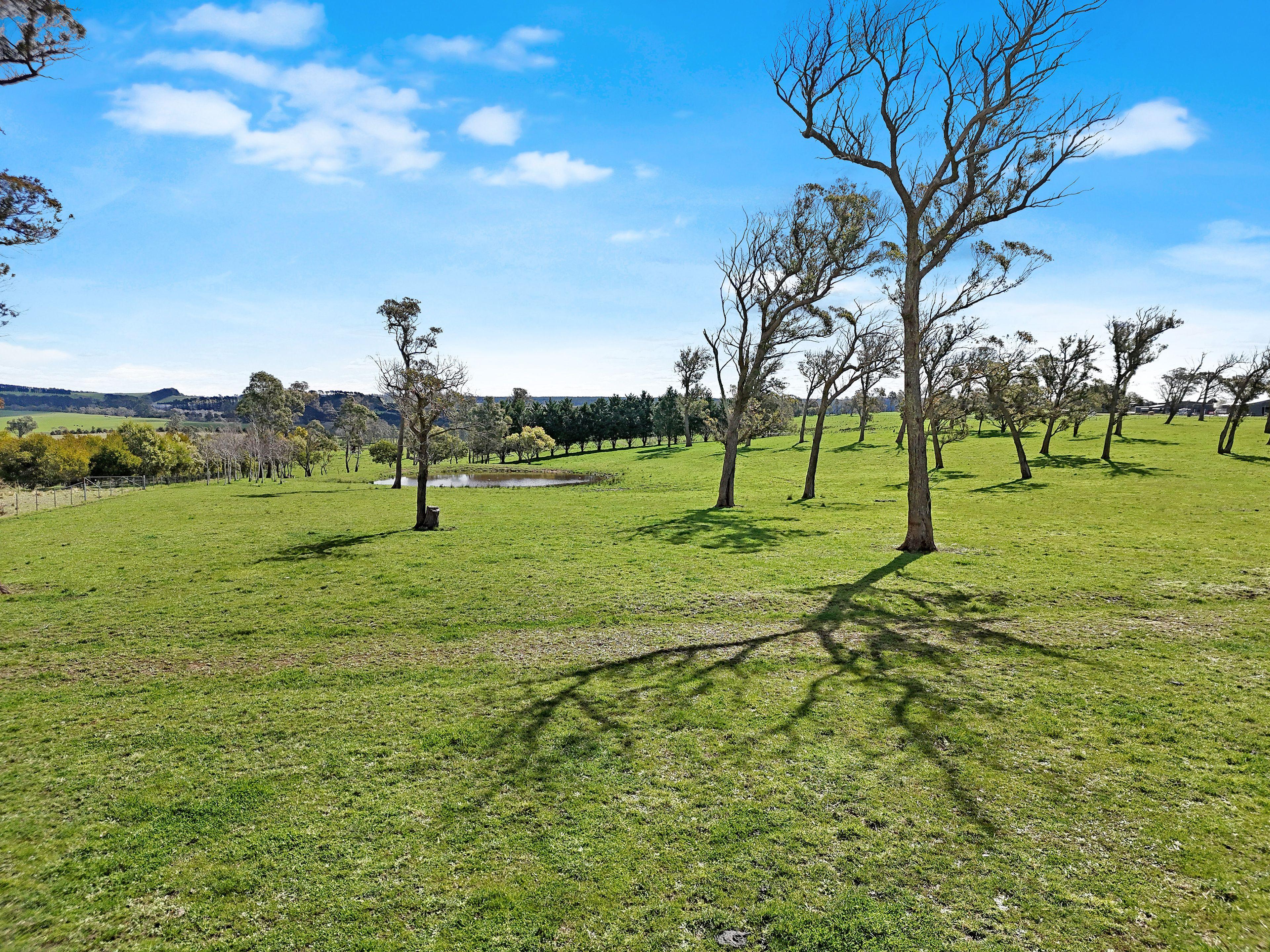 Farm Gate - 12323 Hume Highway, Sutton Forest - ~100 acre land parcel