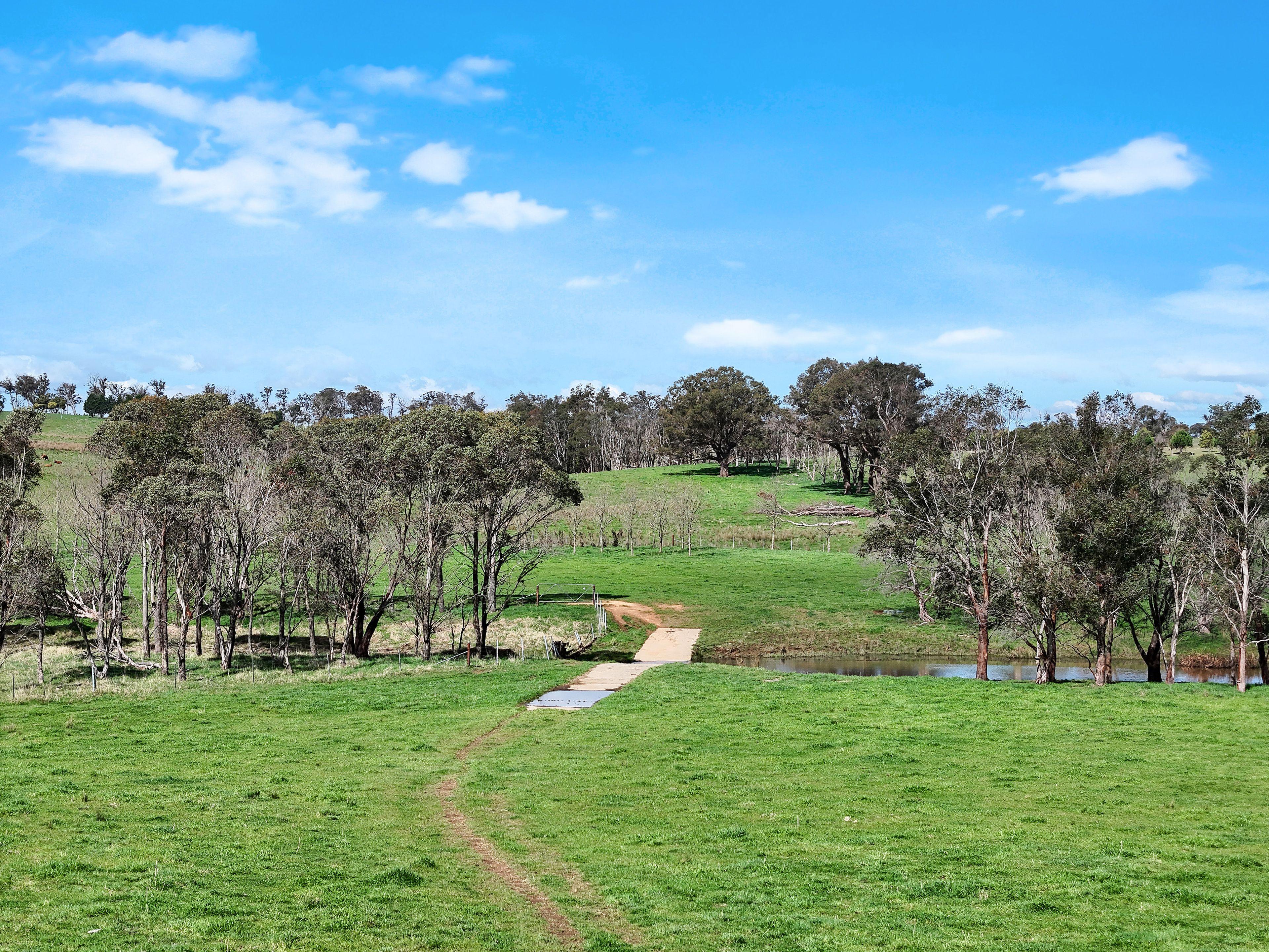 Farm Gate - 12323 Hume Highway, Sutton Forest - ~100 acre land parcel