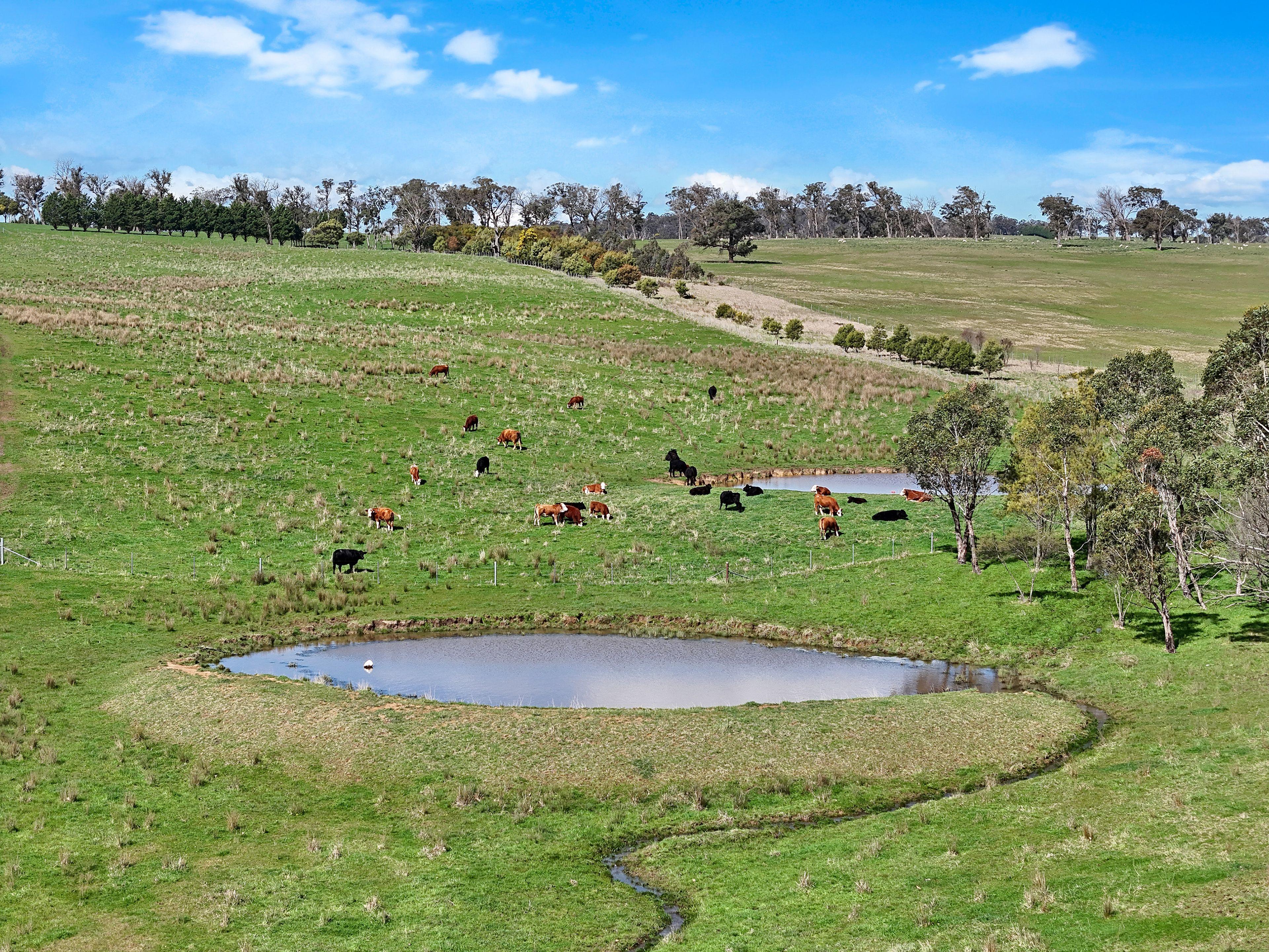 Farm Gate - 12323 Hume Highway, Sutton Forest - ~100 acre land parcel