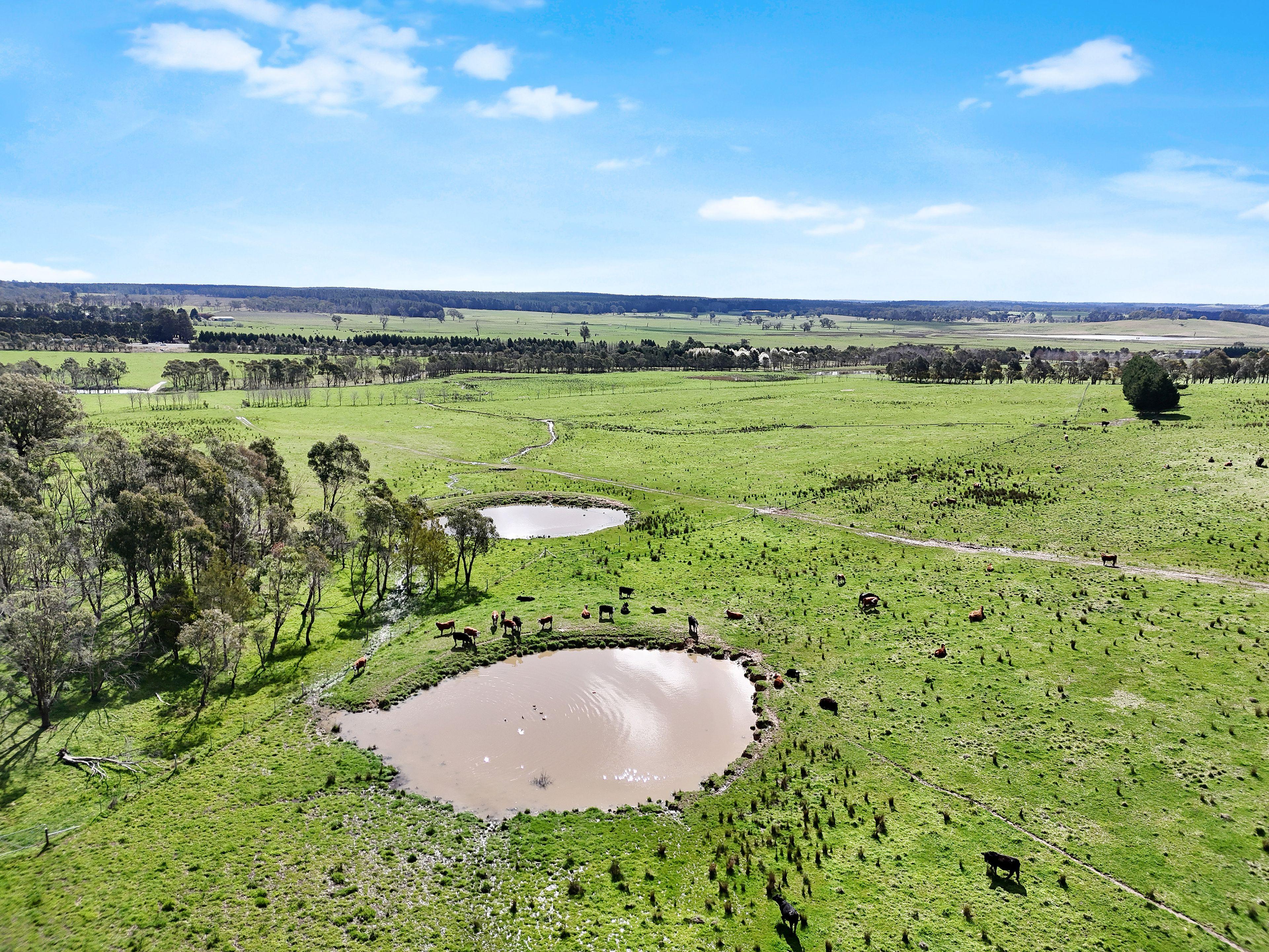 Farm Gate - 12323 Hume Highway, Sutton Forest - ~100 acre land parcel