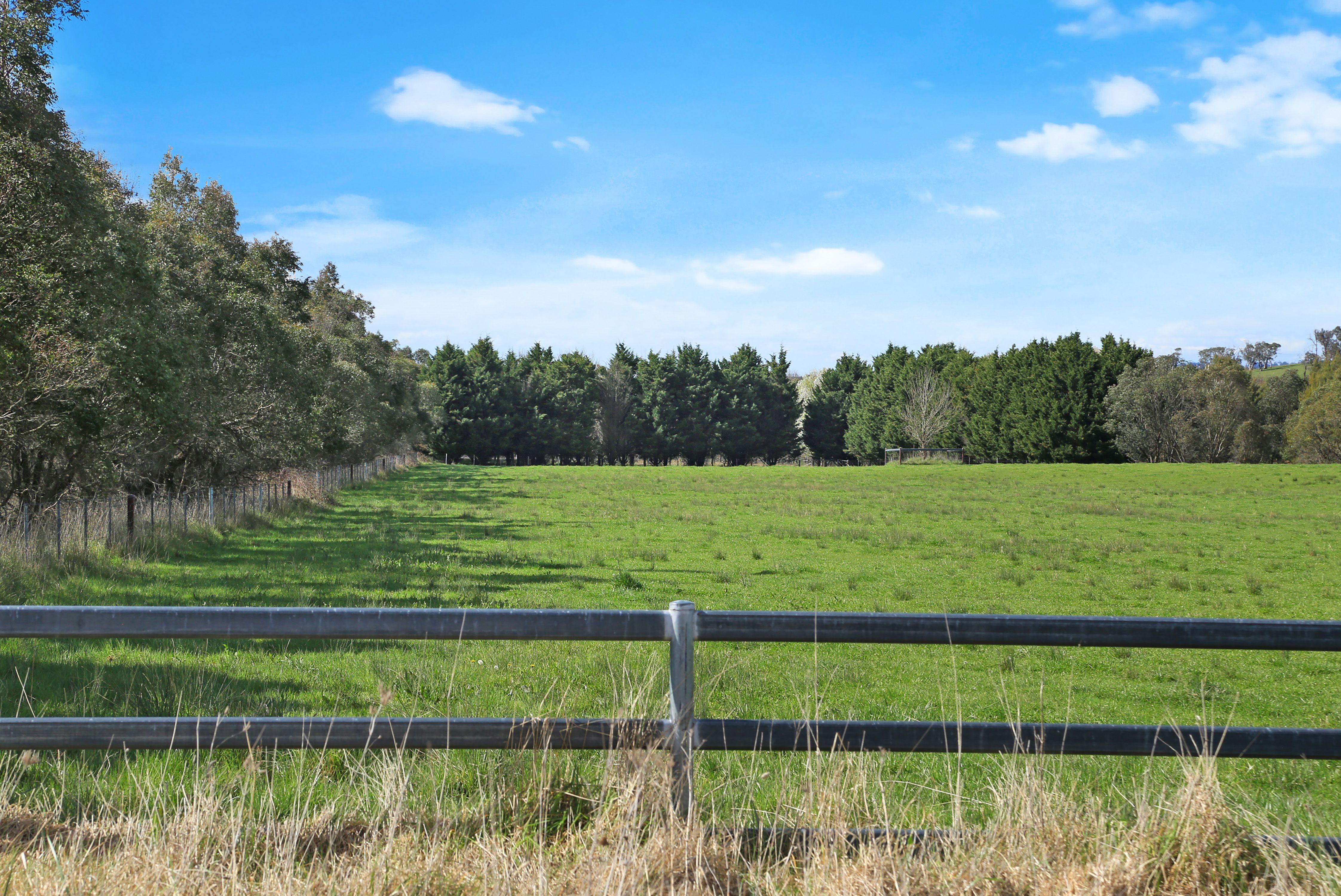 Farm Gate - 12323 Hume Highway, Sutton Forest - ~100 acre land parcel