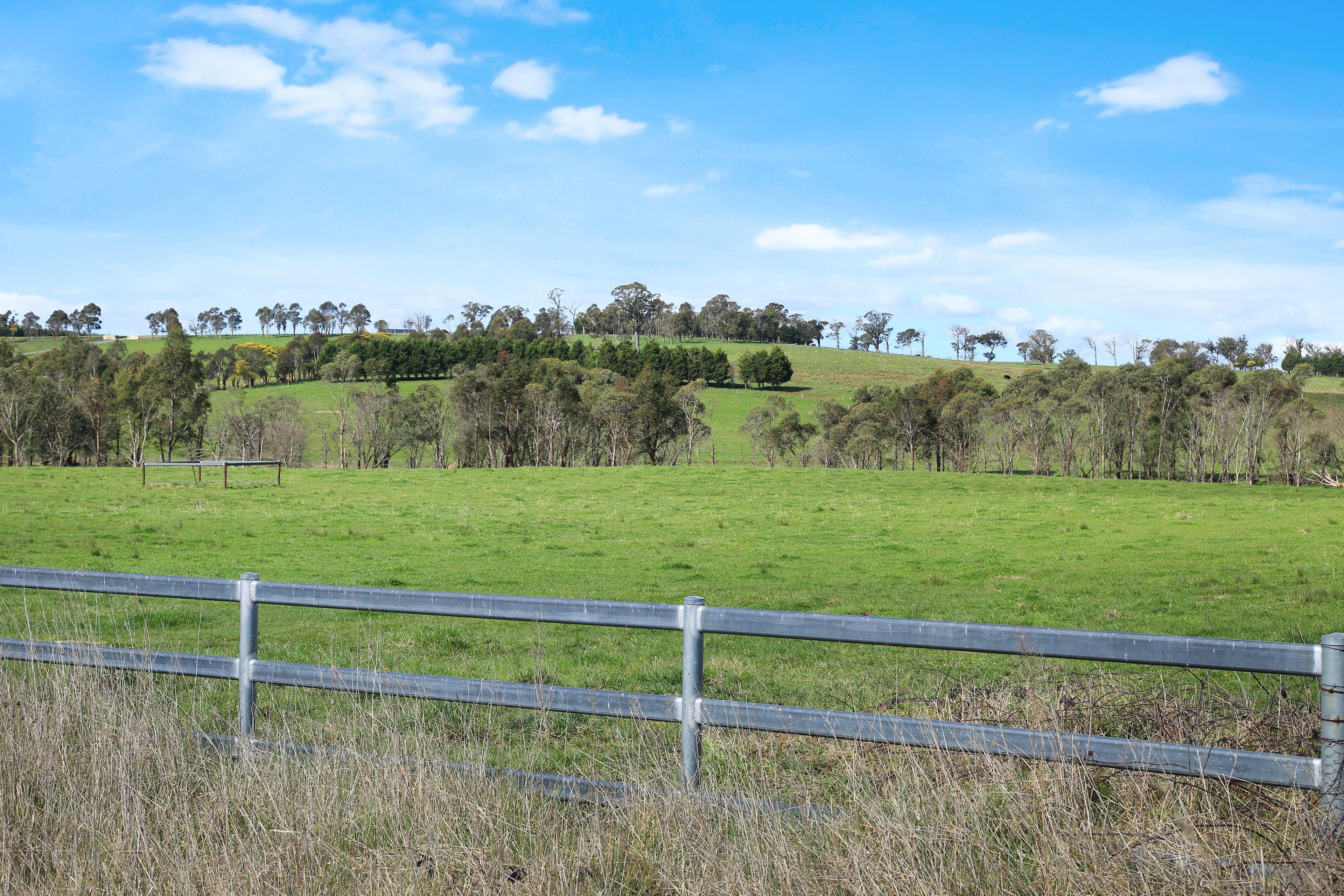 Farm Gate - 12323 Hume Highway, Sutton Forest - ~100 acre land parcel