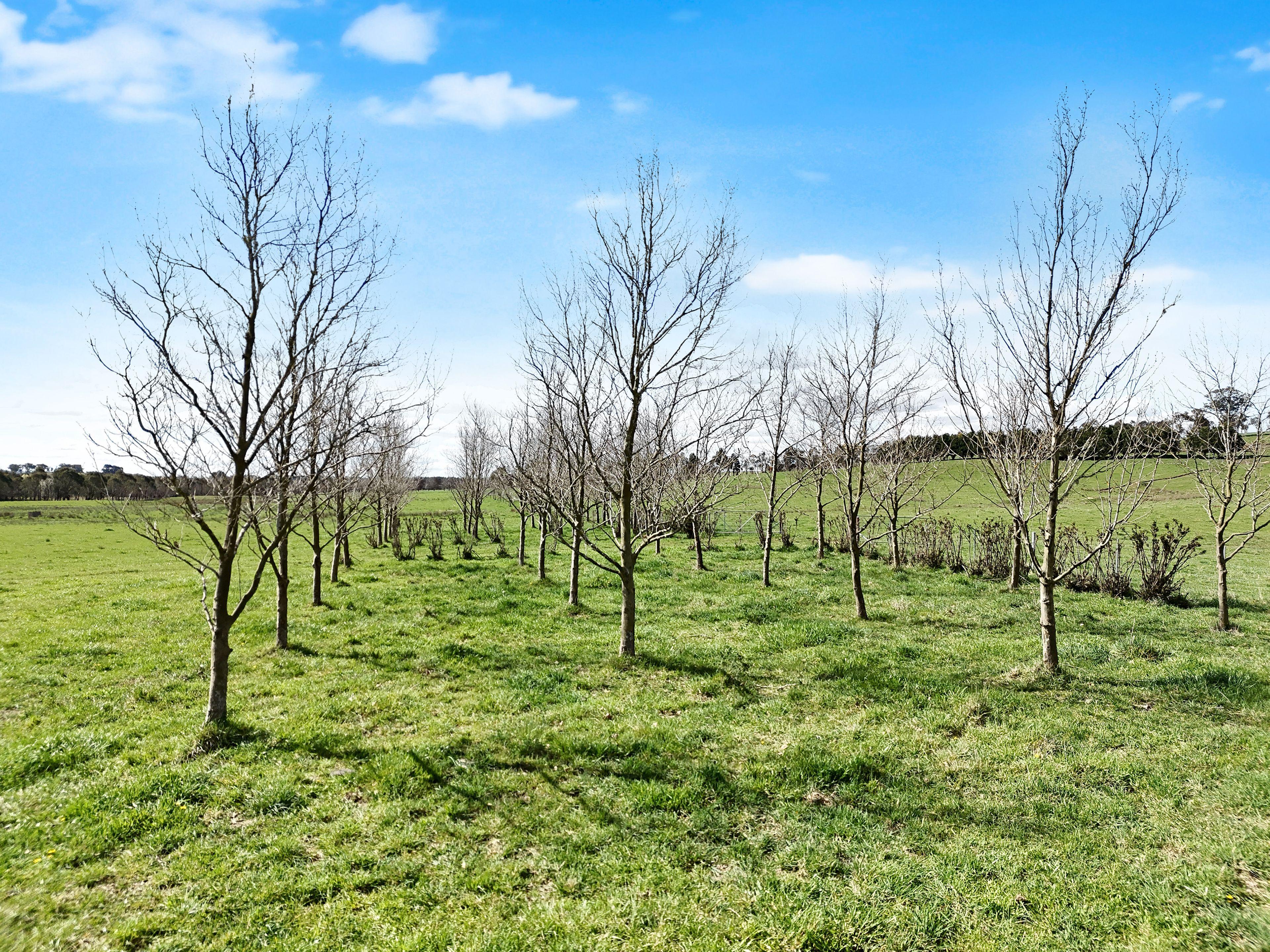 Farm Gate - 12323 Hume Highway, Sutton Forest - ~100 acre land parcel