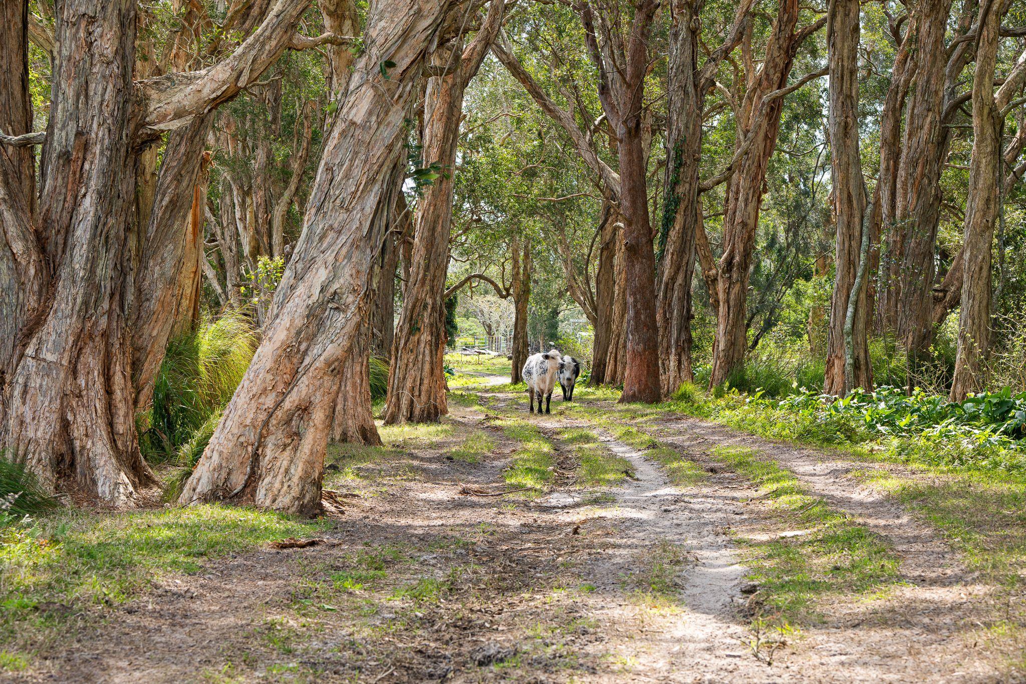 FOR SALE | LARGE LAND HOLDING ACROSS TWO TITLES IN ANNA BAY