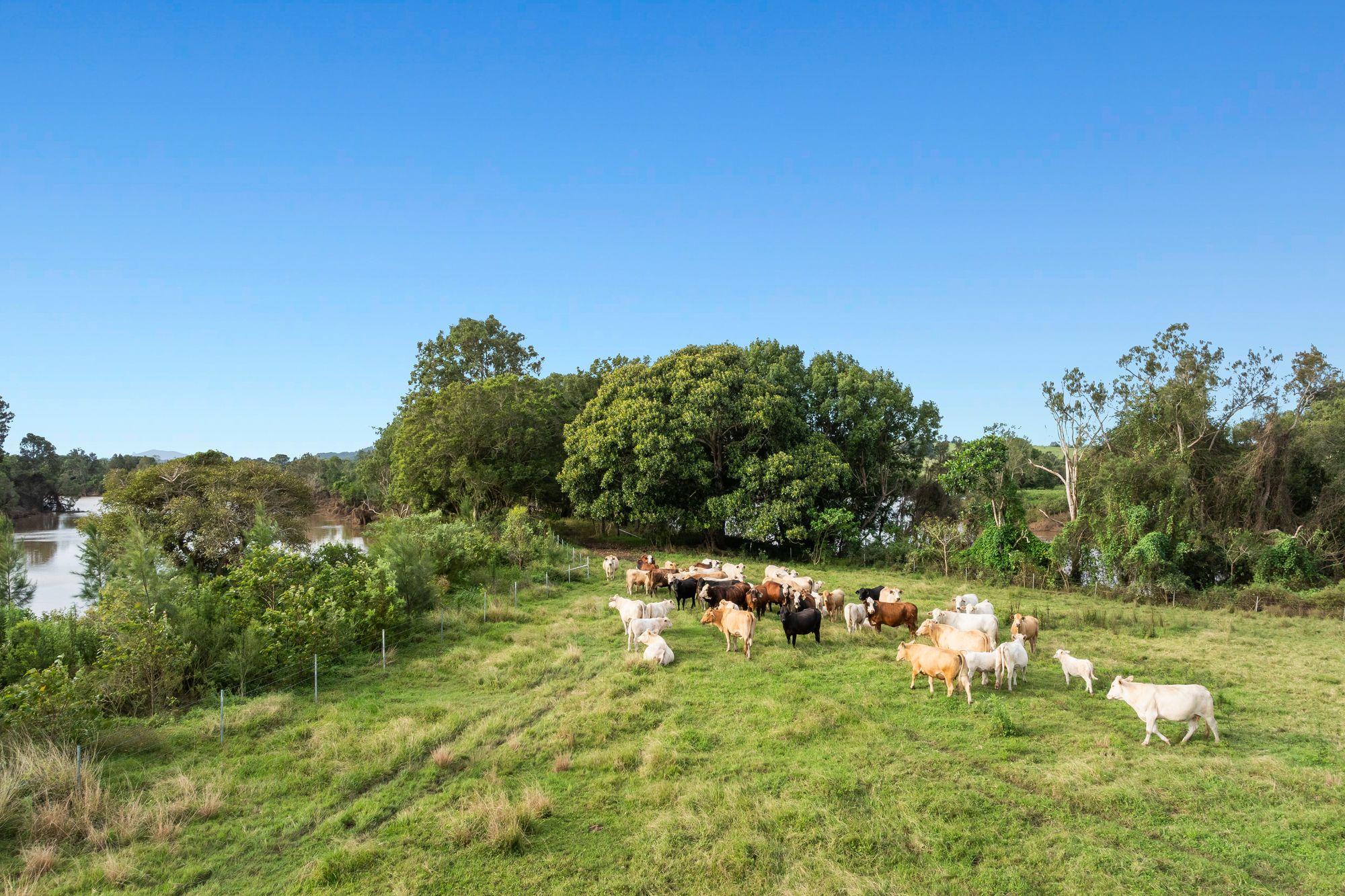 Rural Lifestyle Property with Prime River Frontage