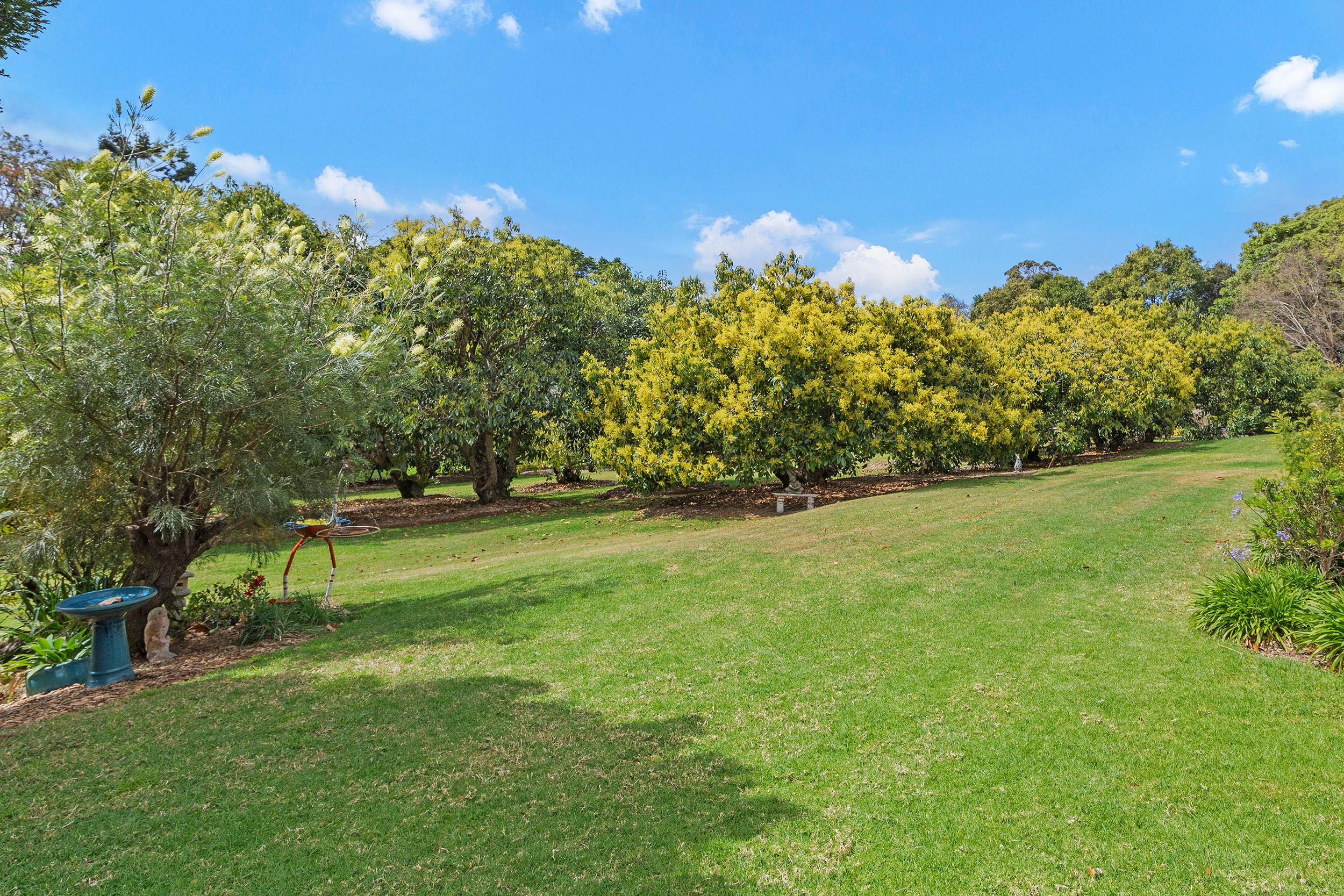 UNDER CONTRACT - Holy Guacamole - Two Titles!