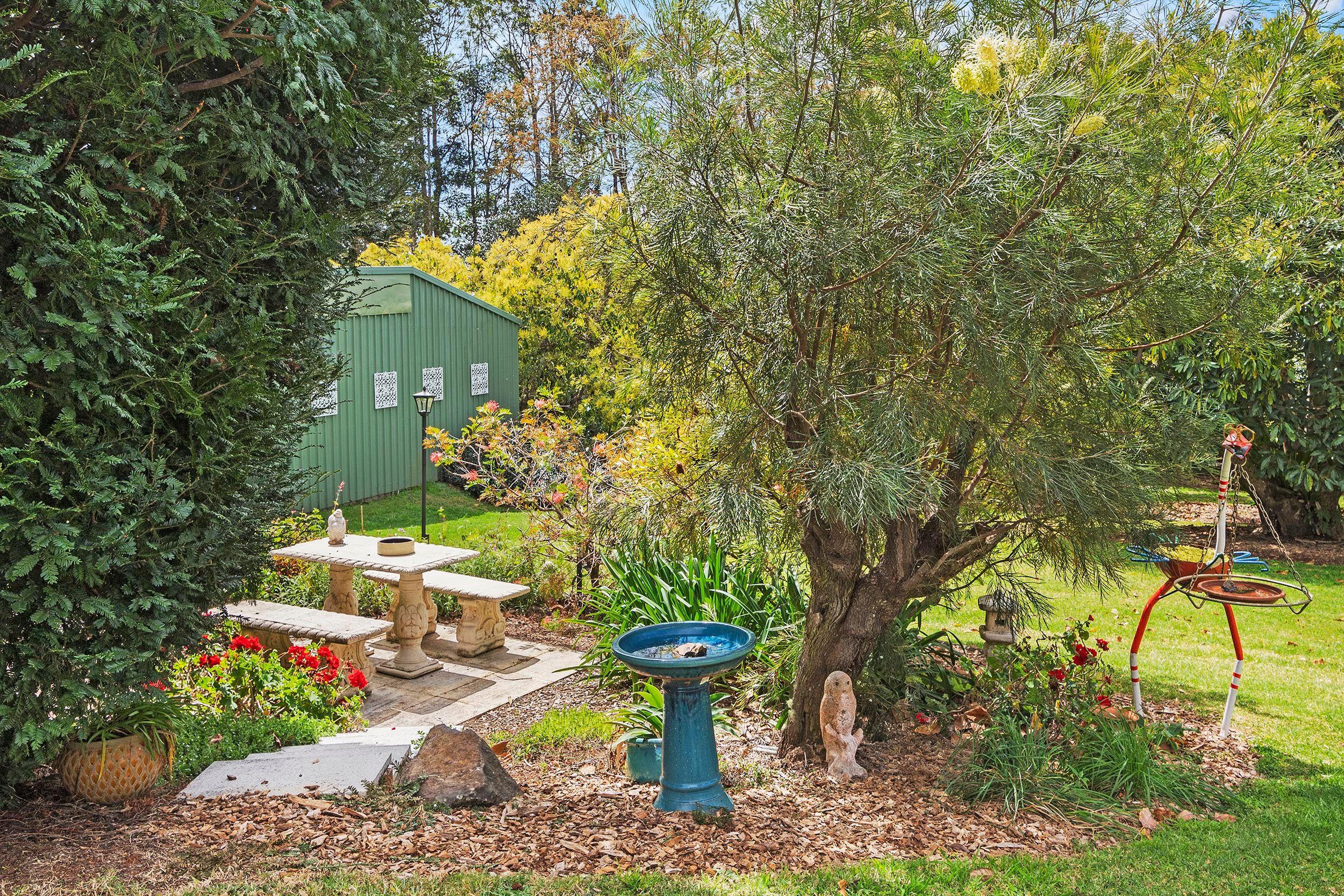 UNDER CONTRACT - Holy Guacamole - Two Titles!