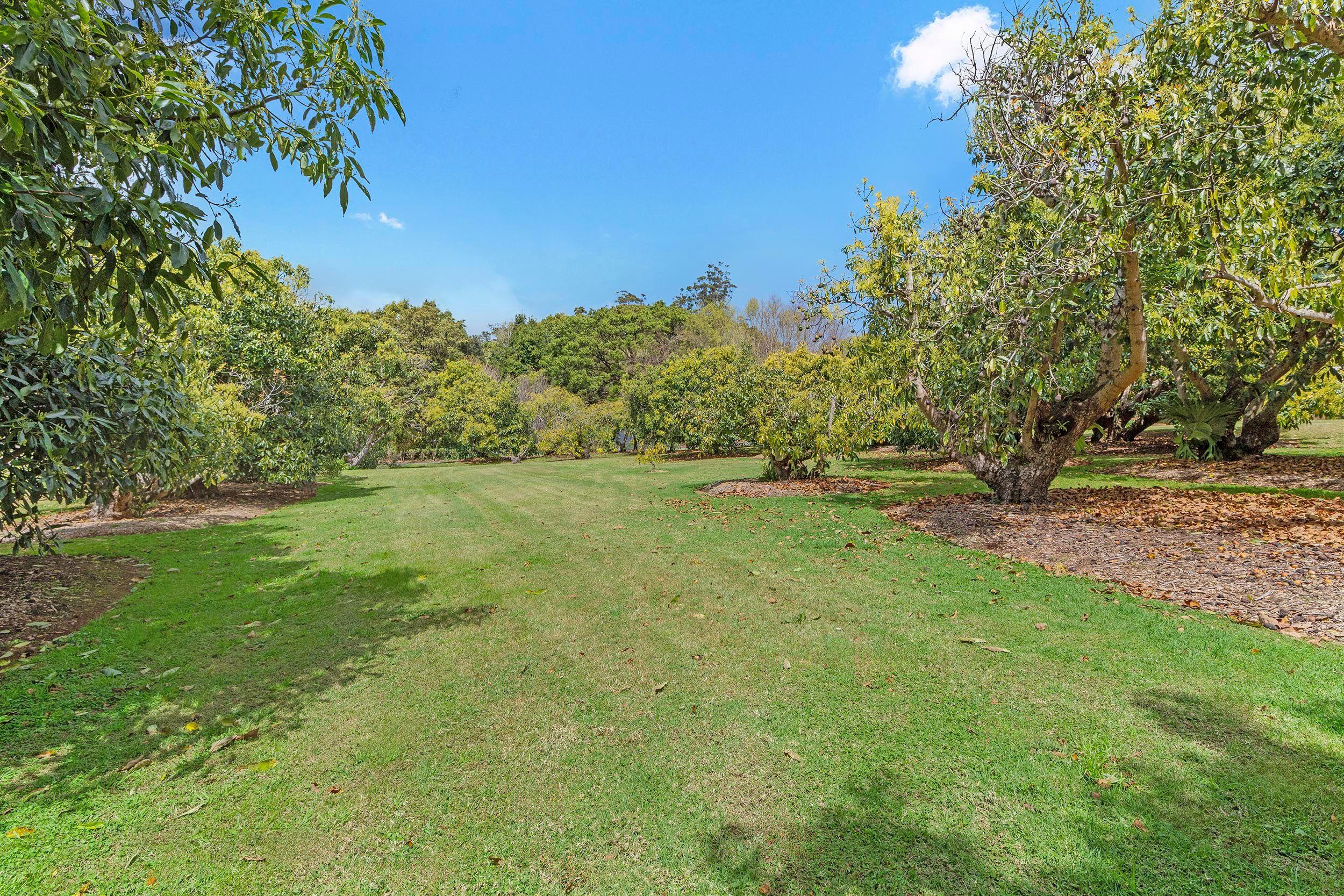 UNDER CONTRACT - Holy Guacamole - Two Titles!