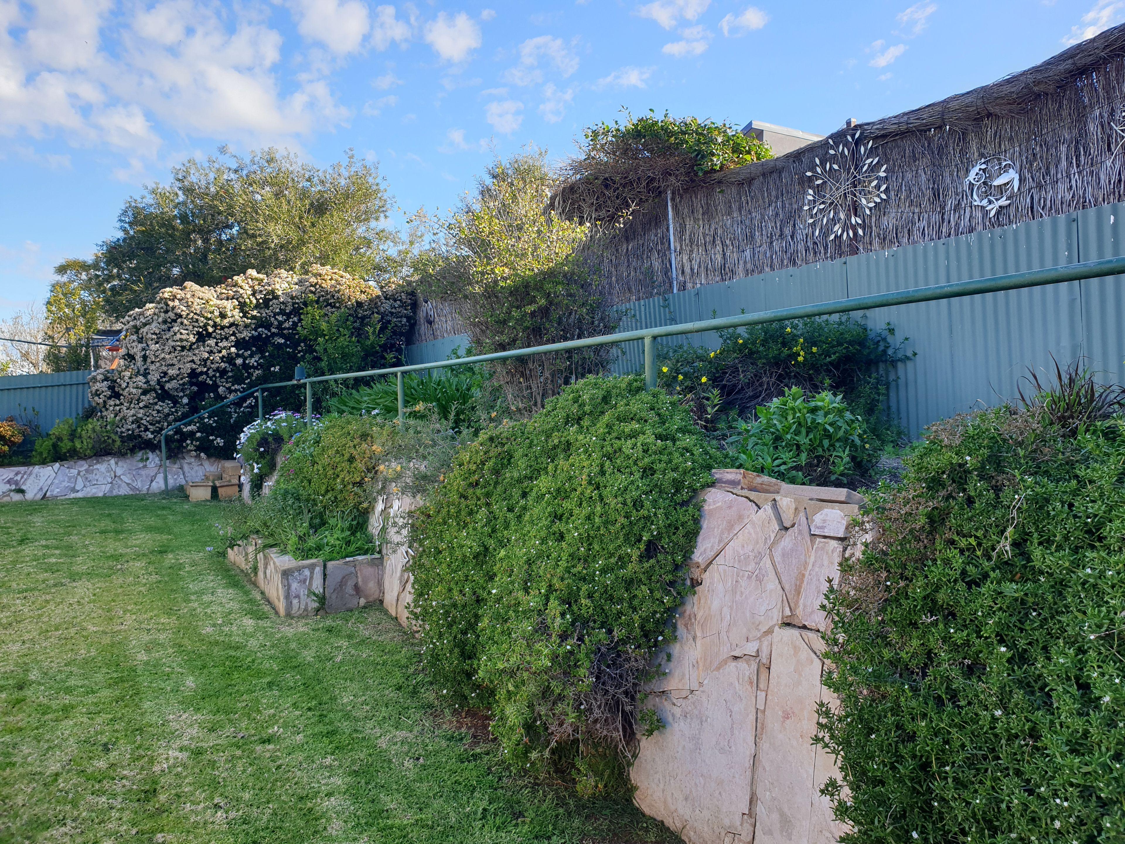 Ray White Real Estate Parkes