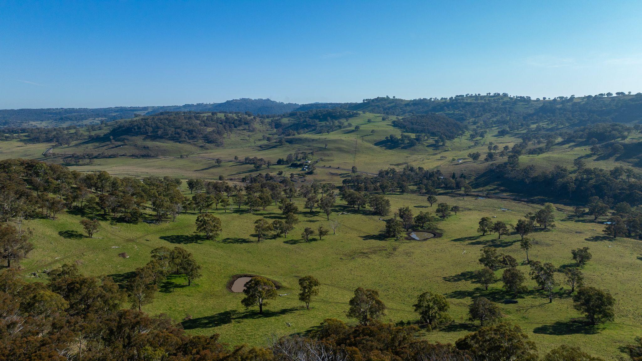 Prop-GPT: Mixed Farming: NSW Ben Lomond, NSW 2365 Rural