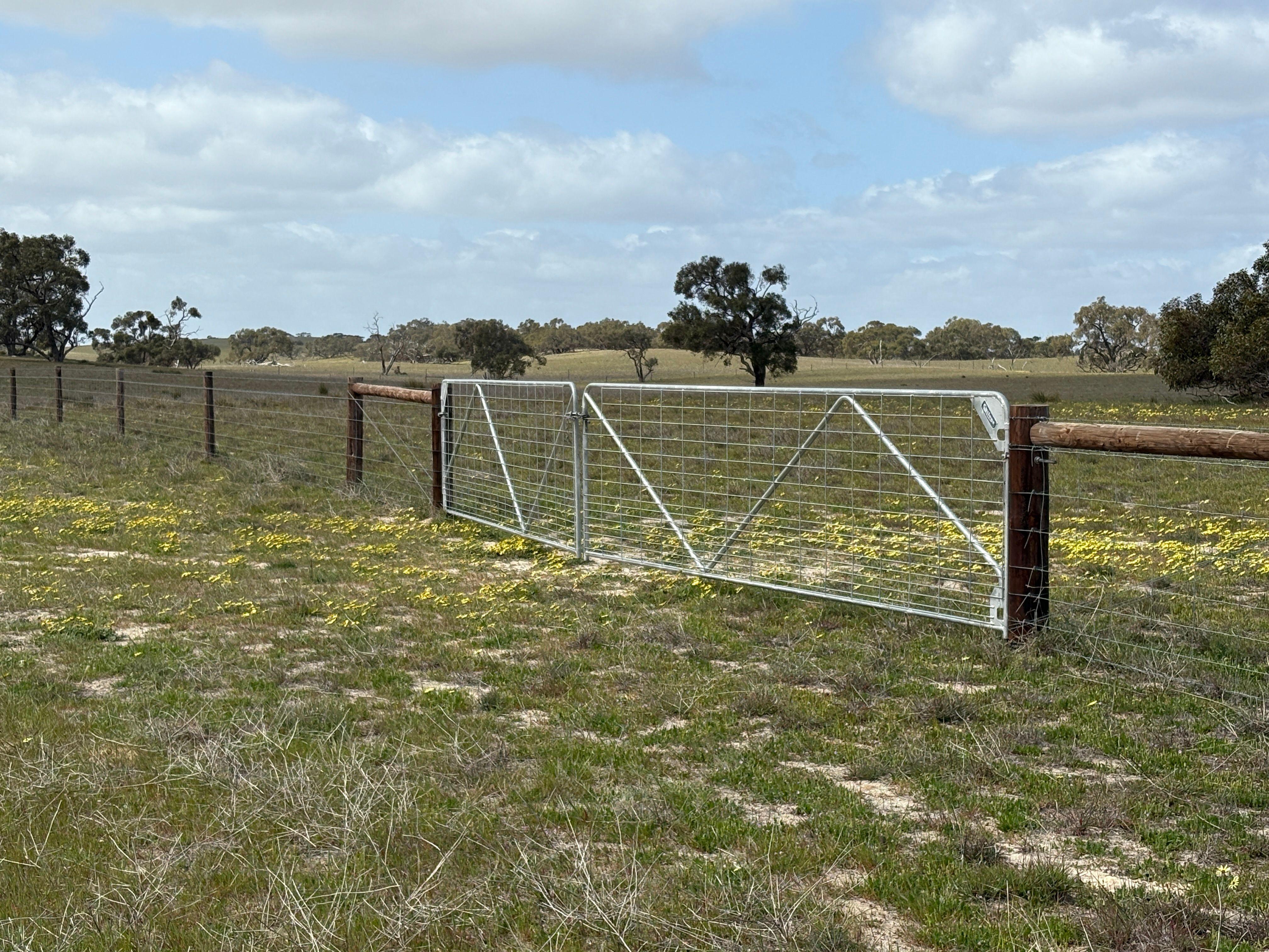 Mallee Grazing Opportunity