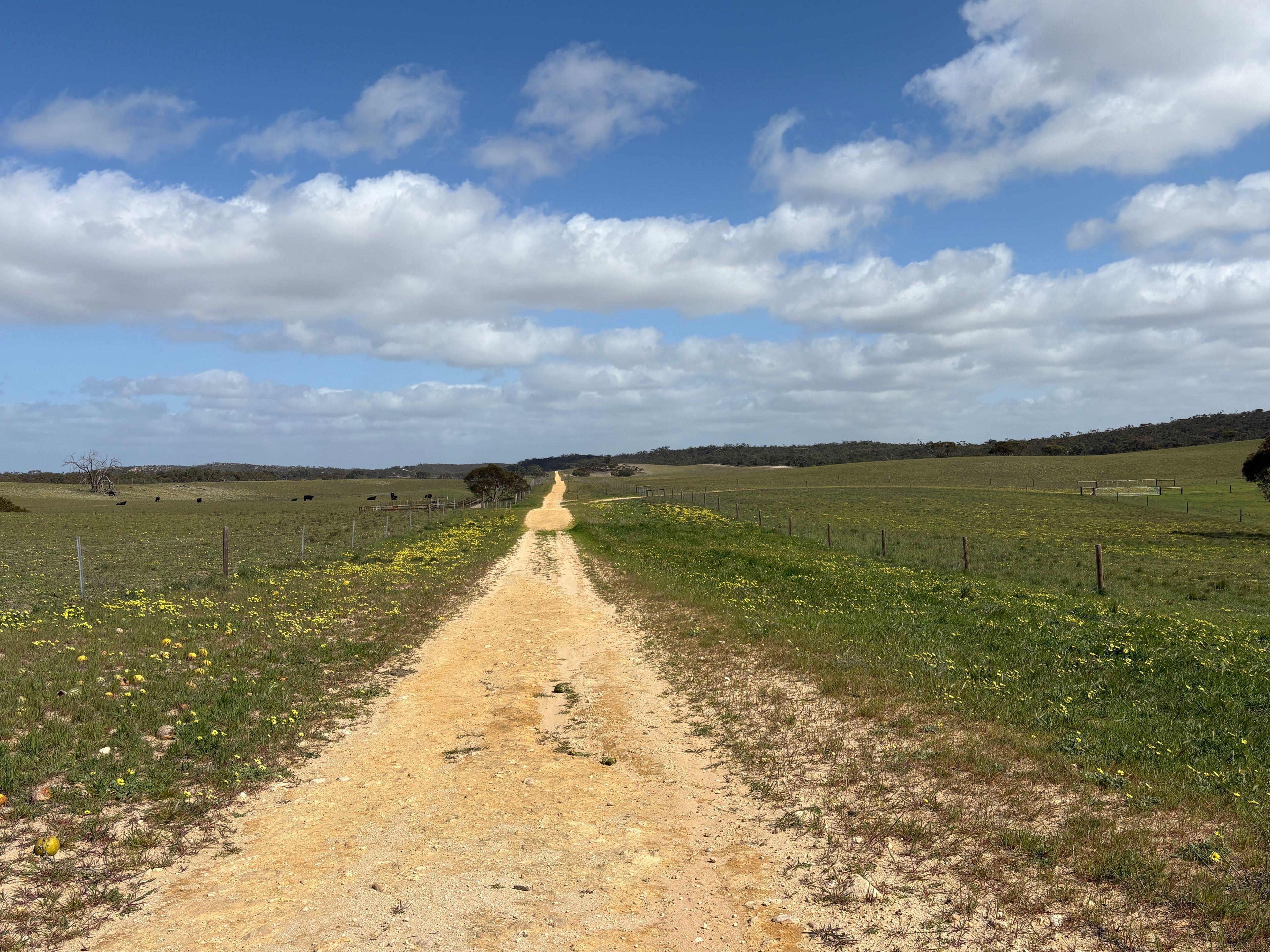 Mallee Grazing Opportunity