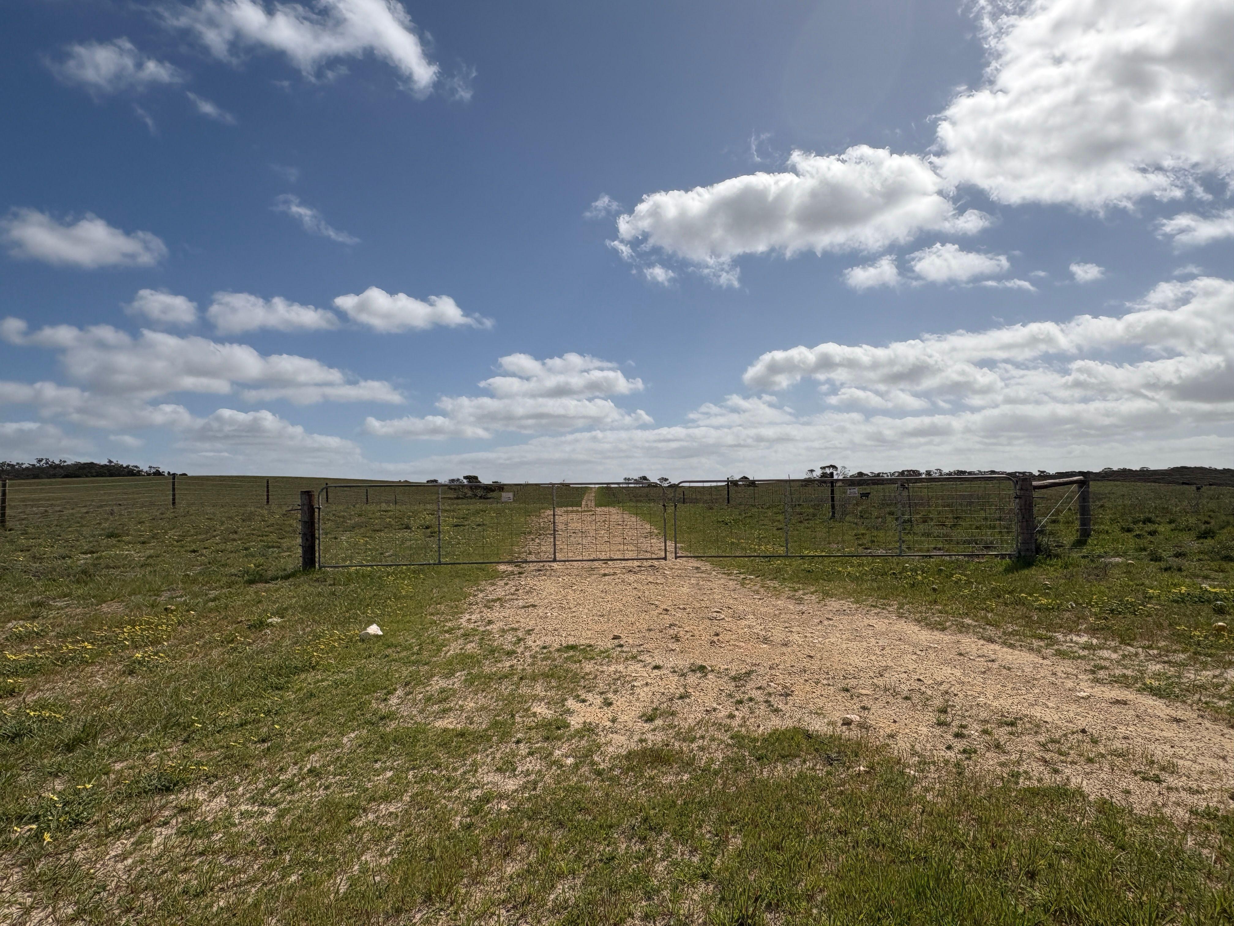 Mallee Grazing Opportunity