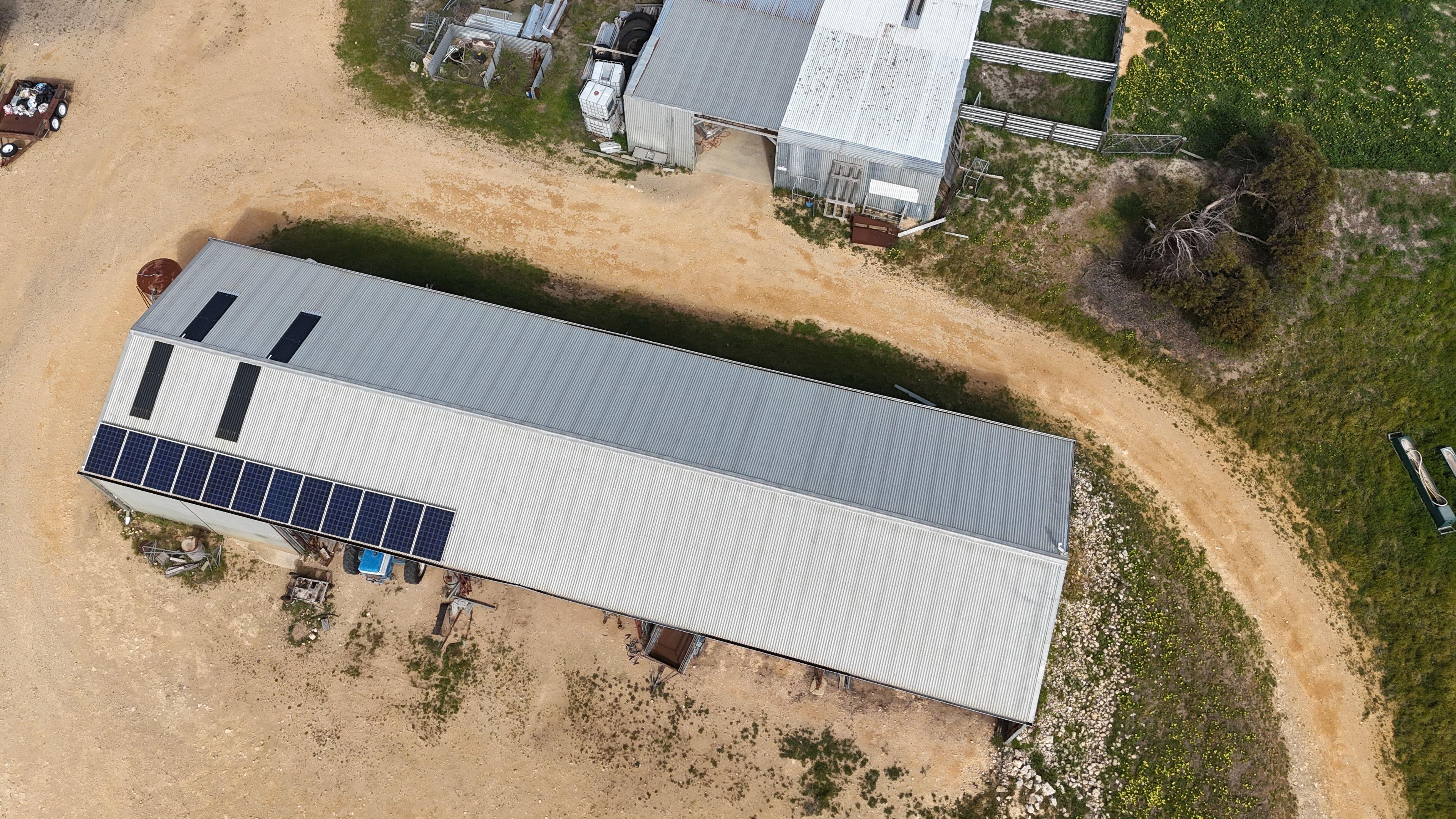Mallee Grazing Opportunity