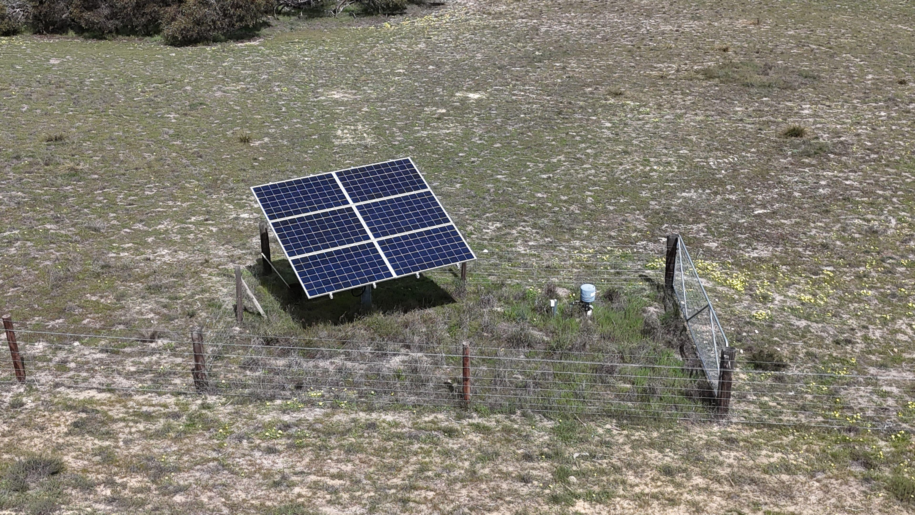 Mallee Grazing Opportunity