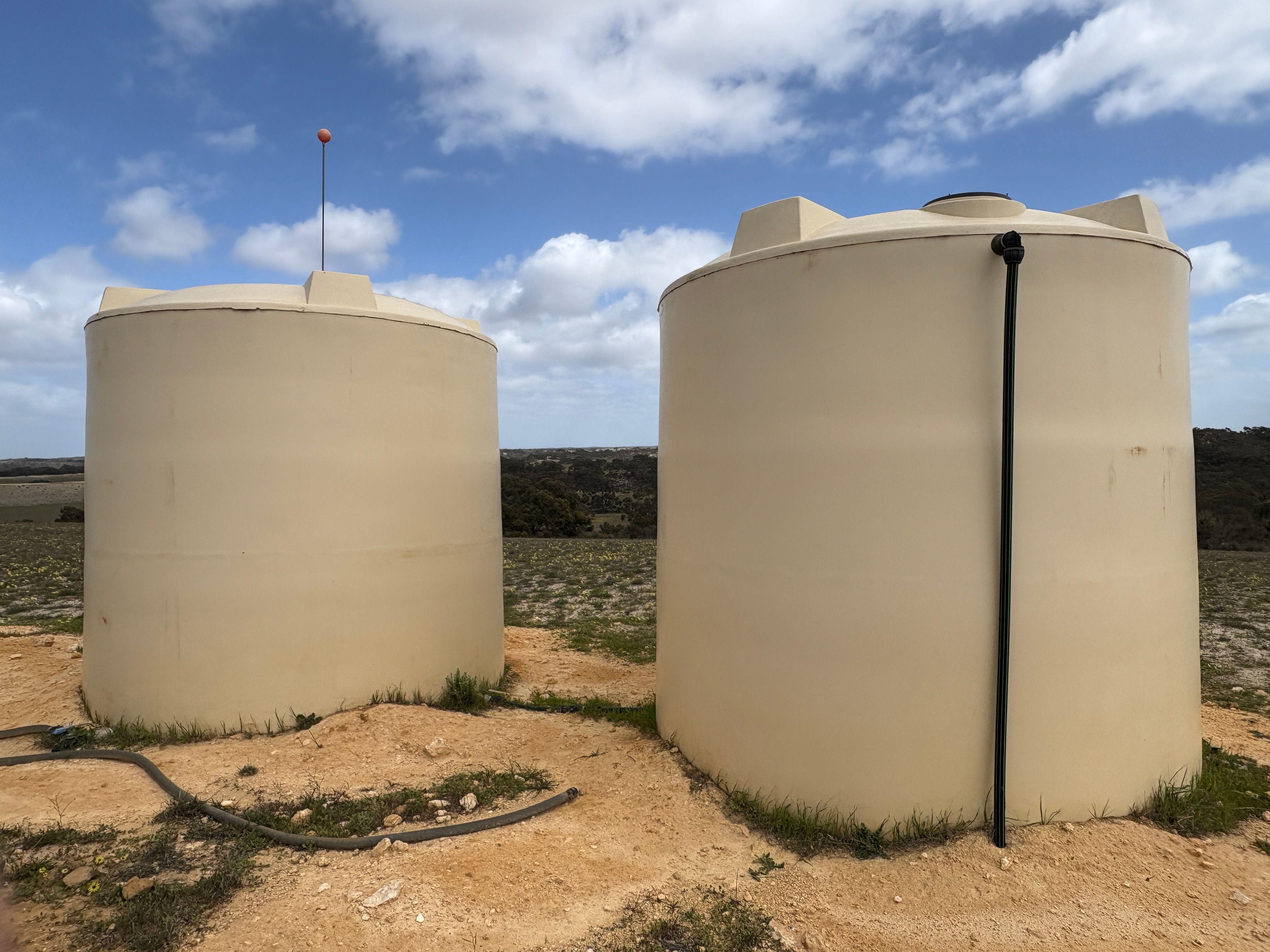 Mallee Grazing Opportunity