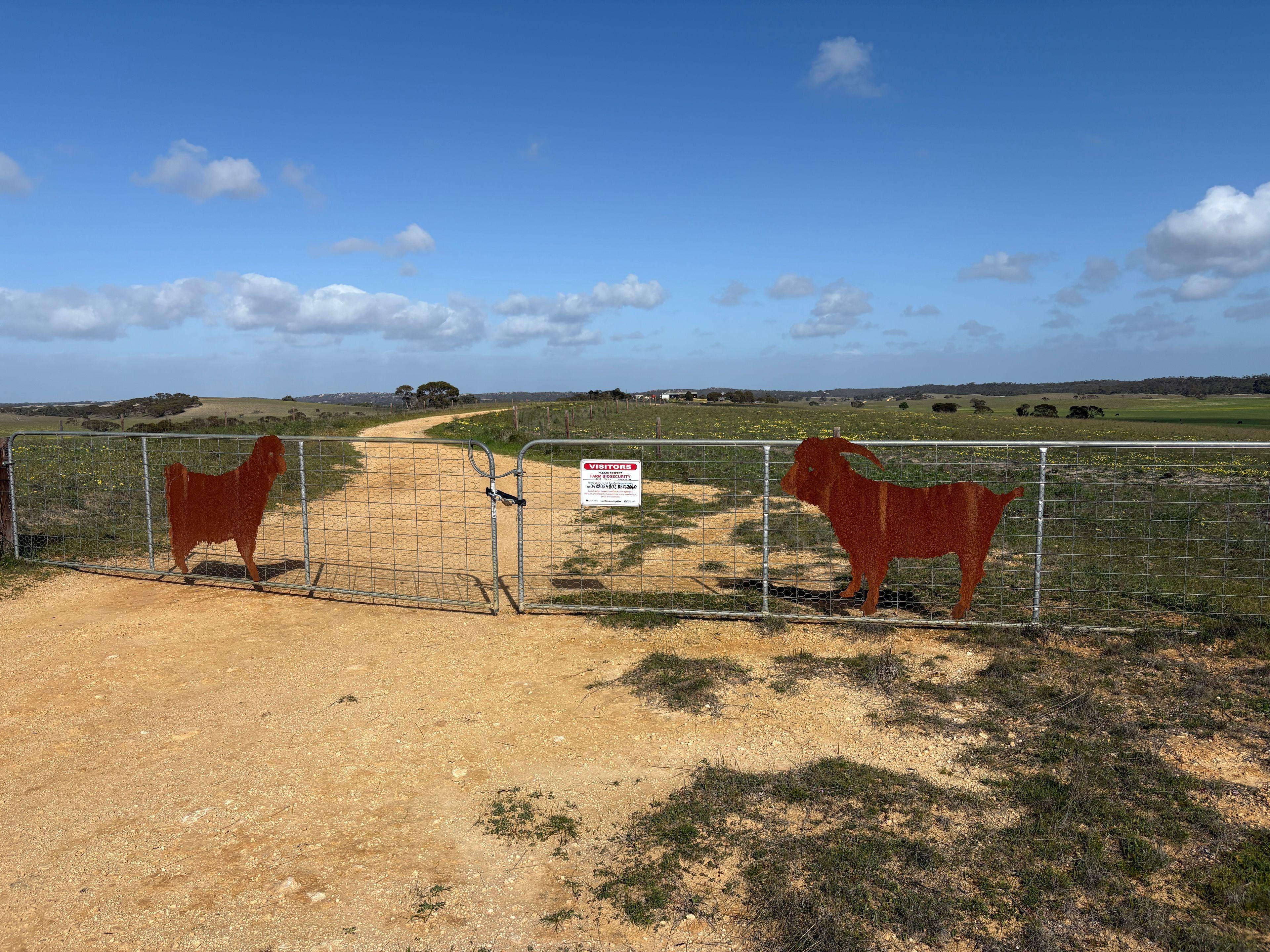 Mallee Grazing Opportunity