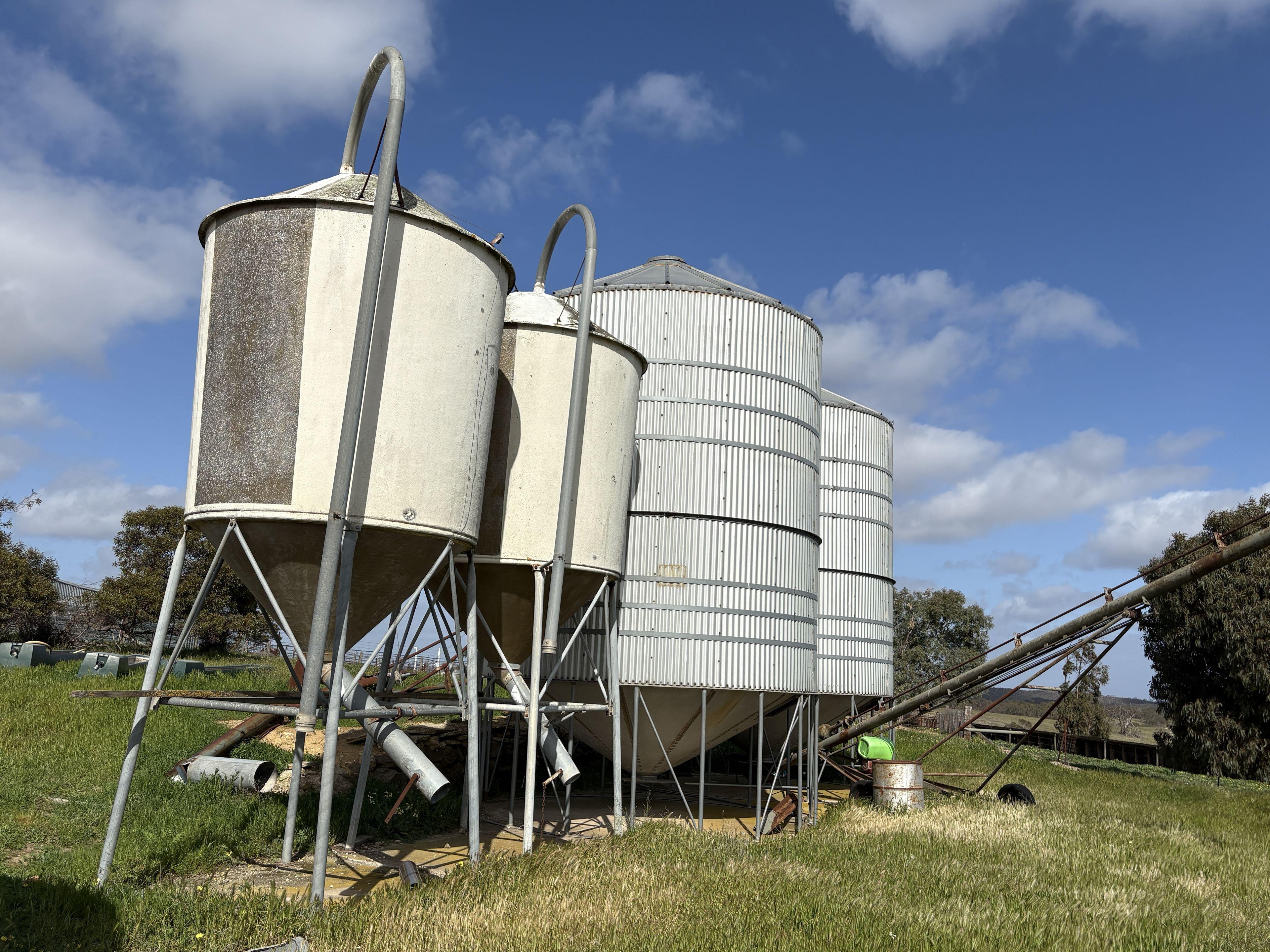 Mallee Grazing Opportunity