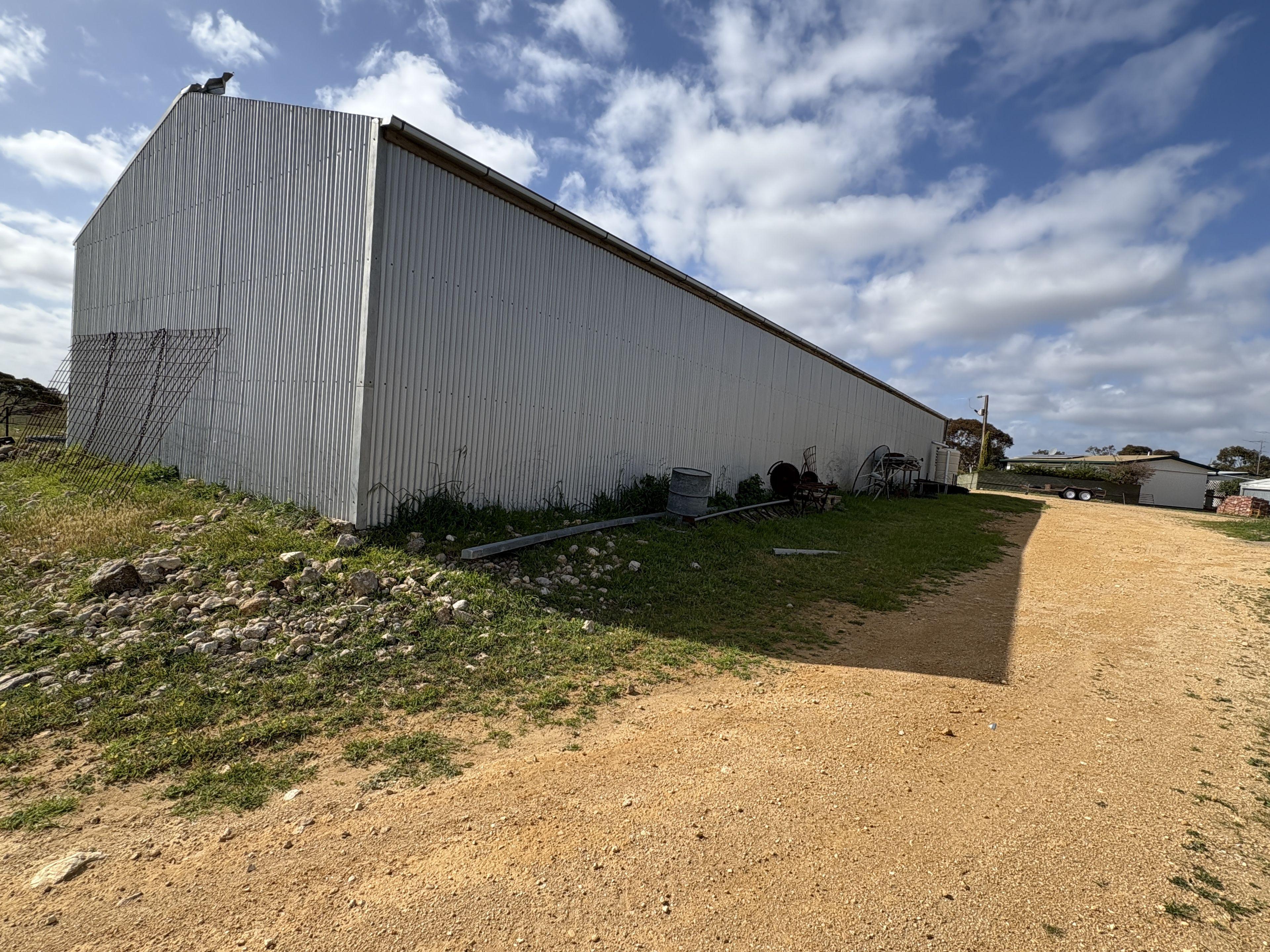 Mallee Grazing Opportunity