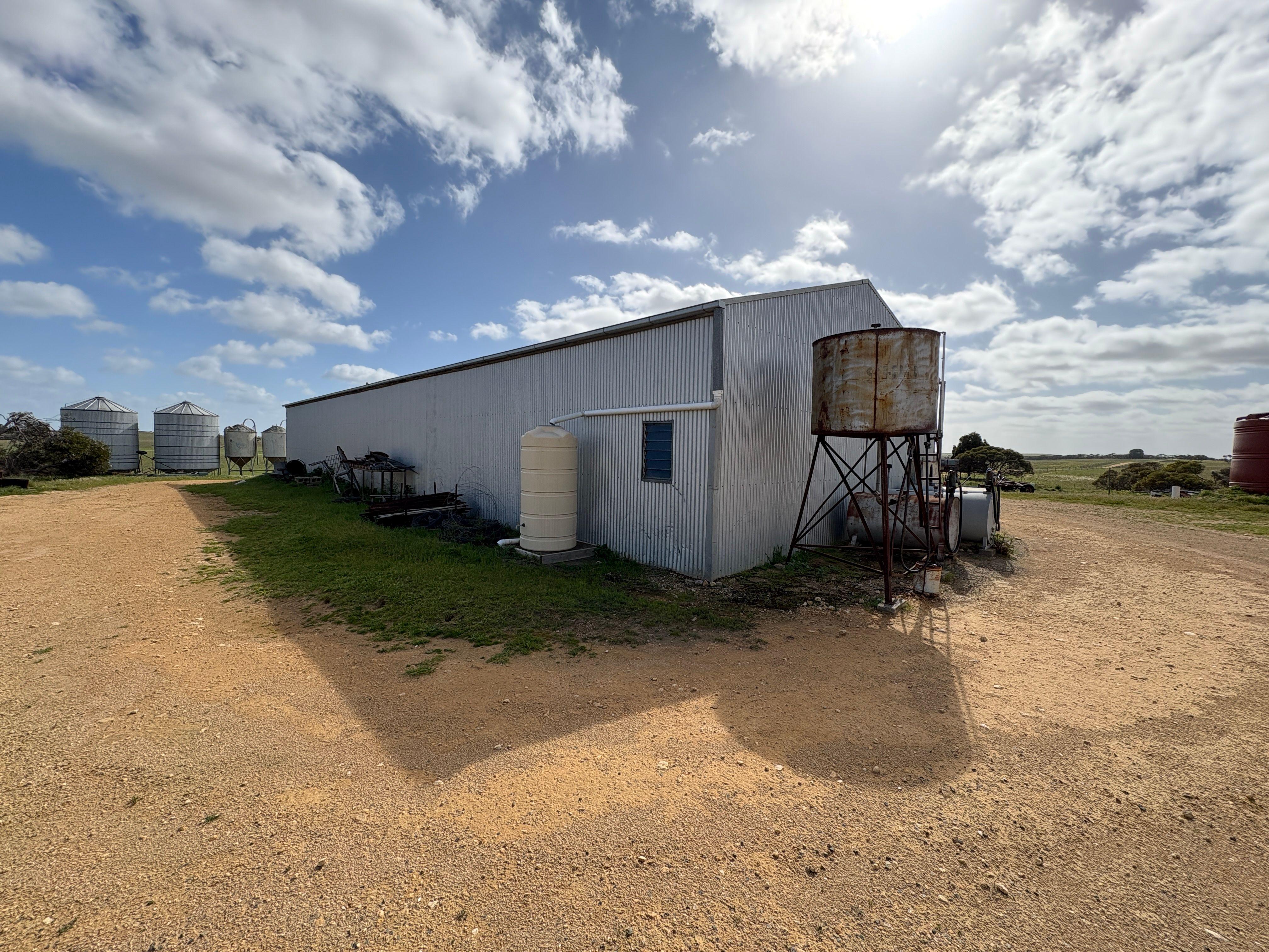 Mallee Grazing Opportunity