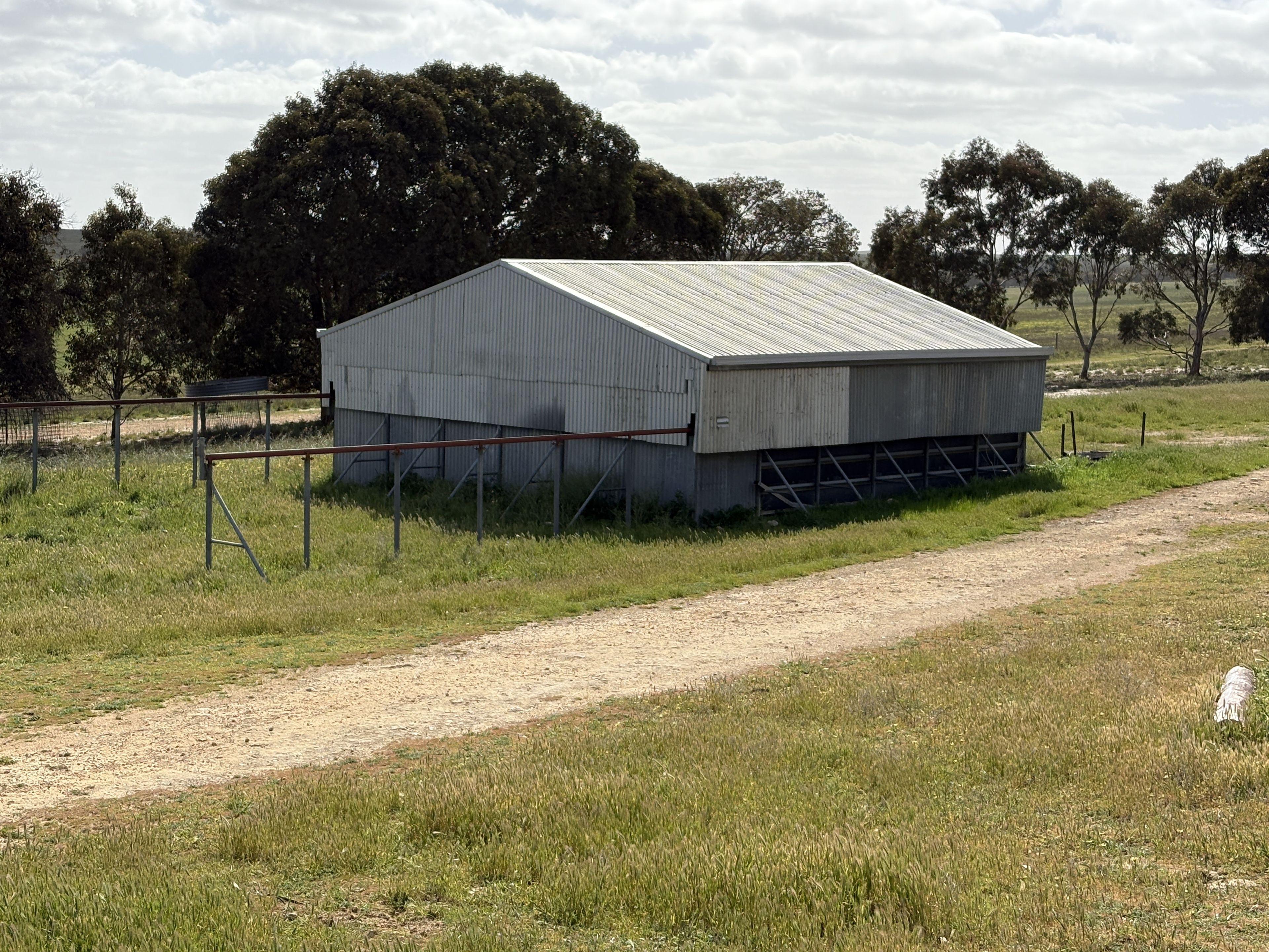 Mallee Grazing Opportunity