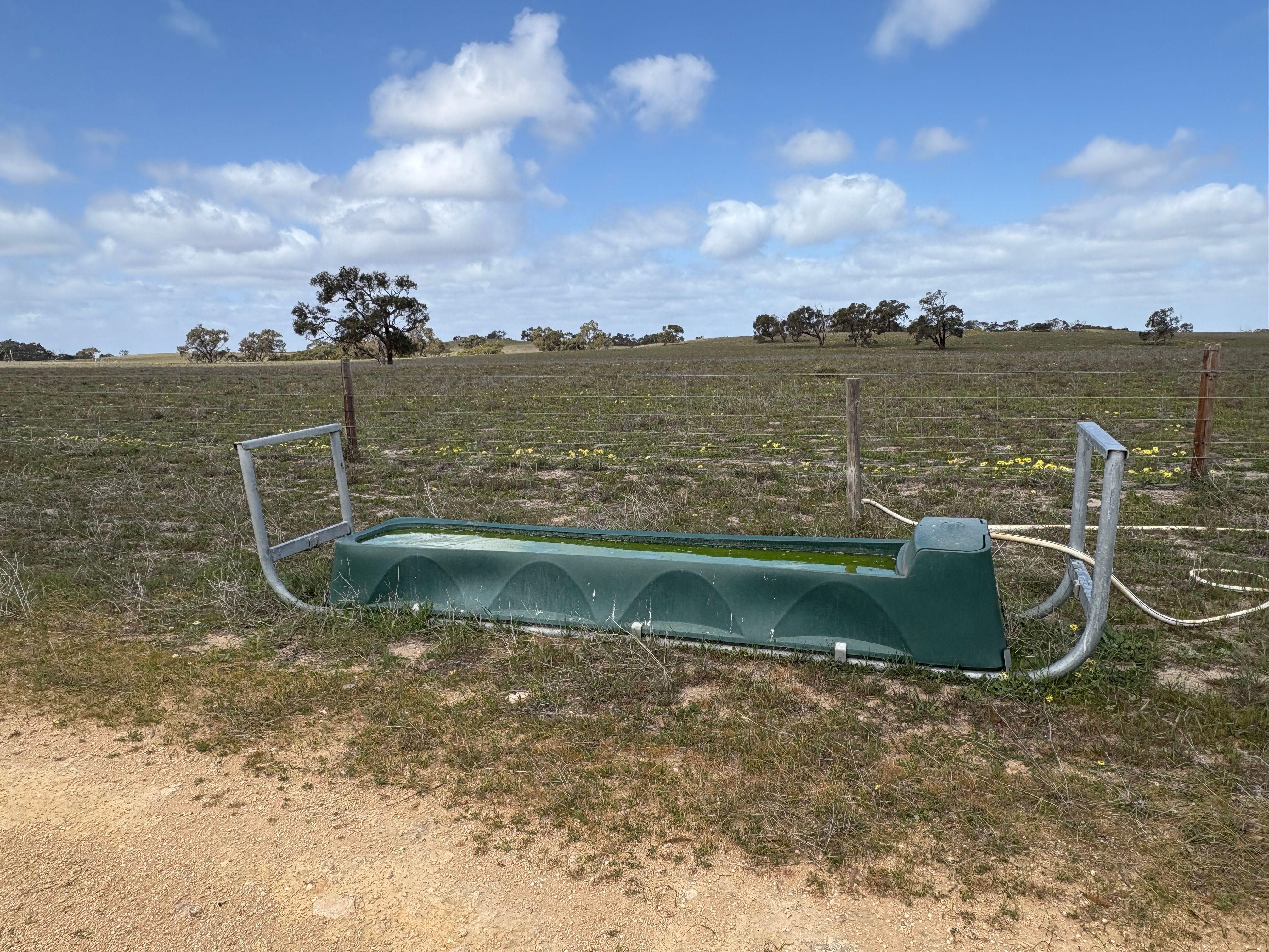 Mallee Grazing Opportunity